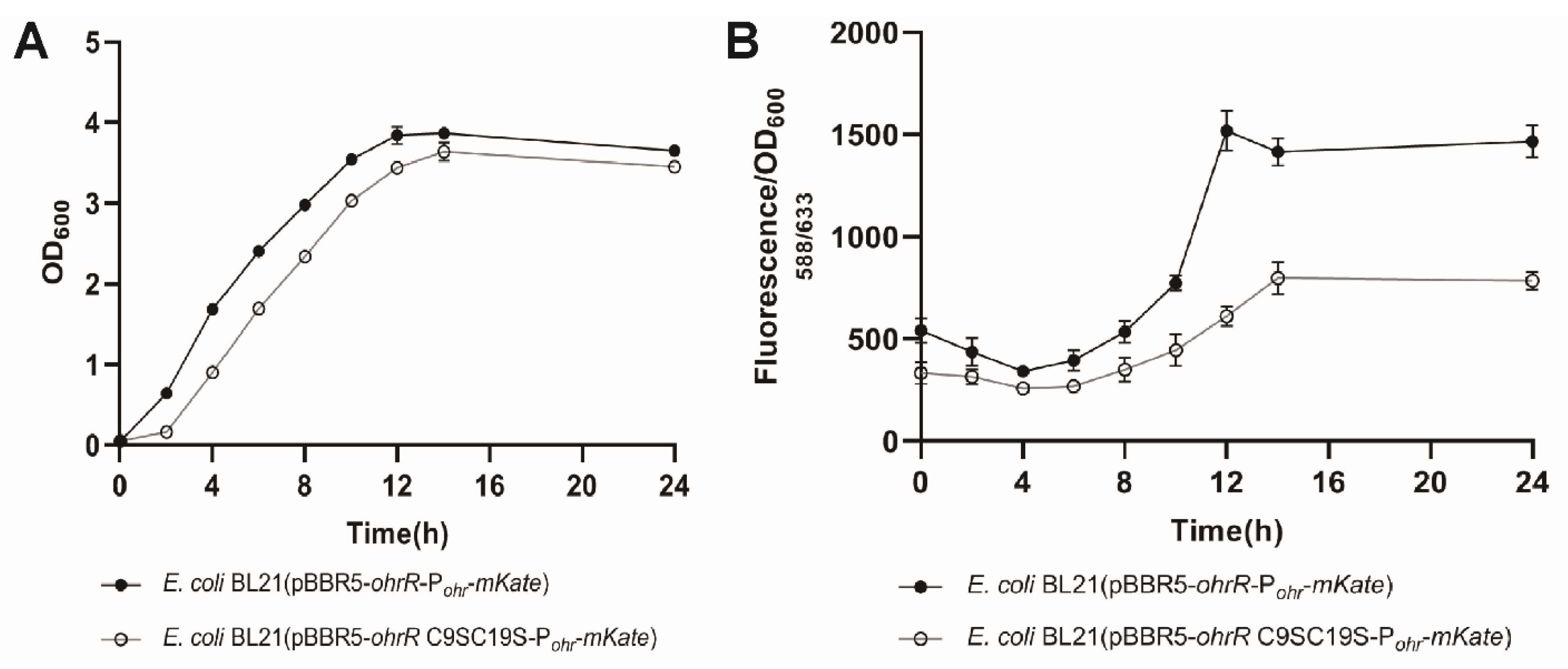 Antioxidants 11 01667 g004
