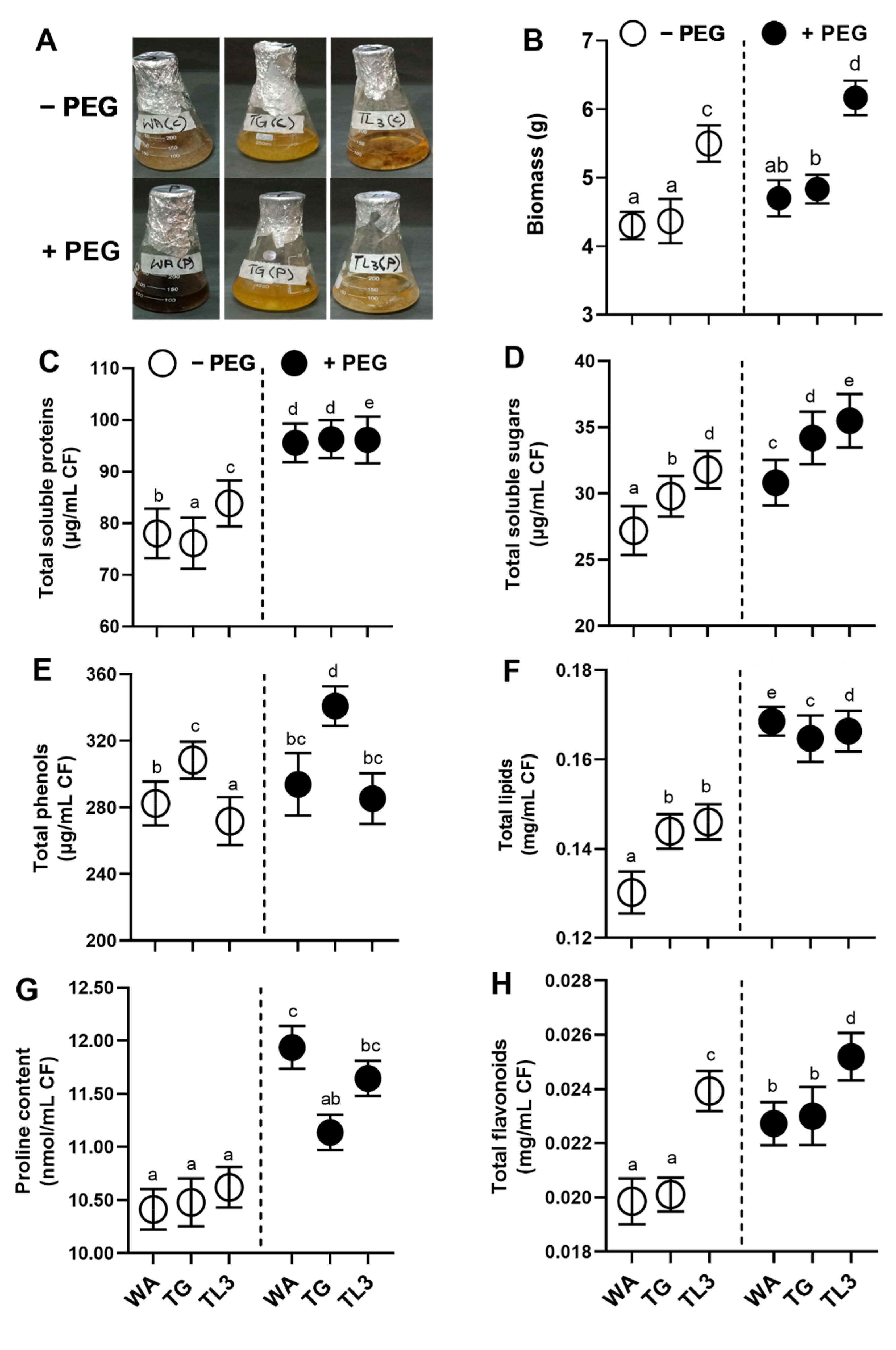 Antioxidants 11 01669 g002