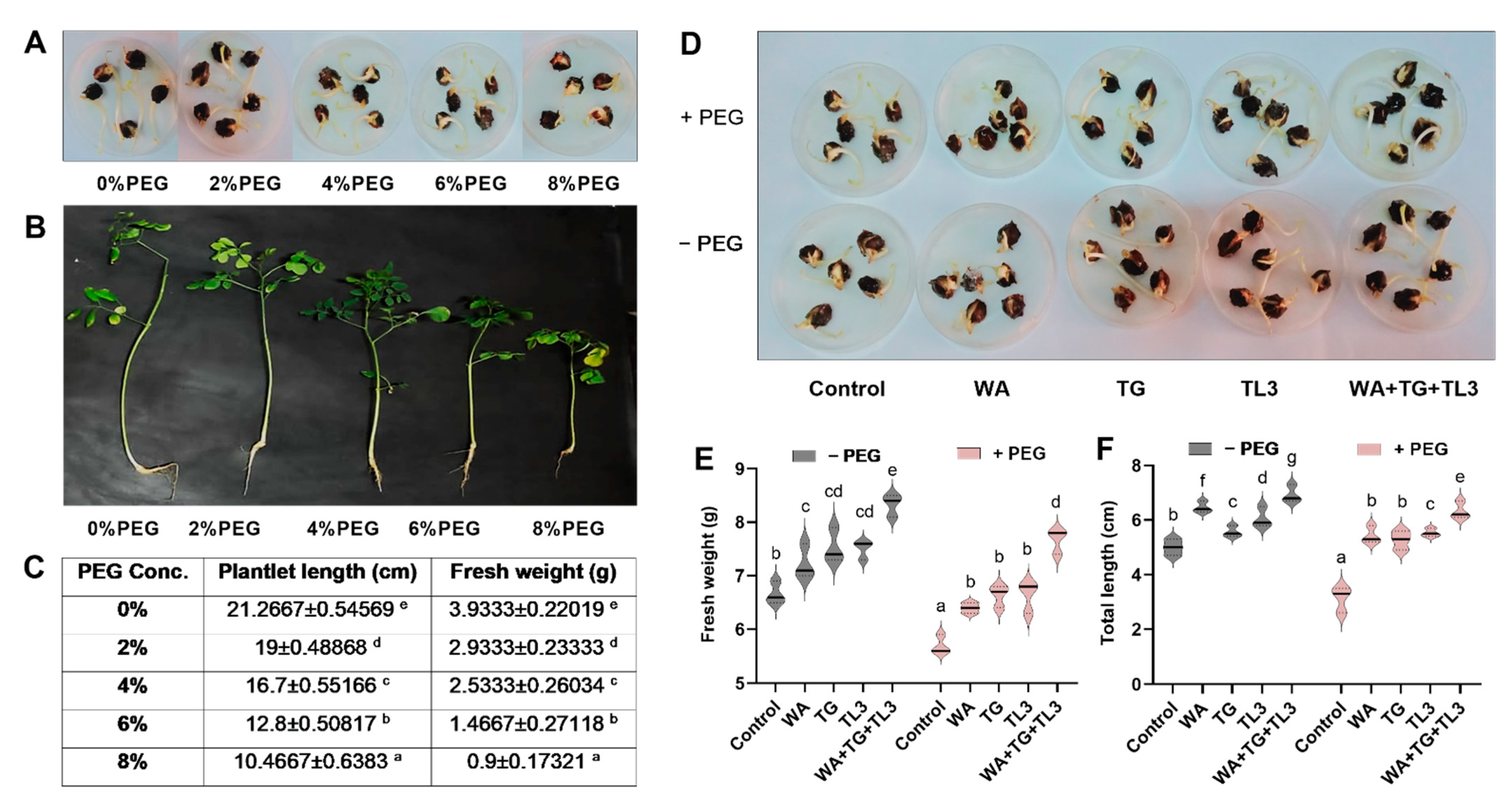 Antioxidants 11 01669 g004