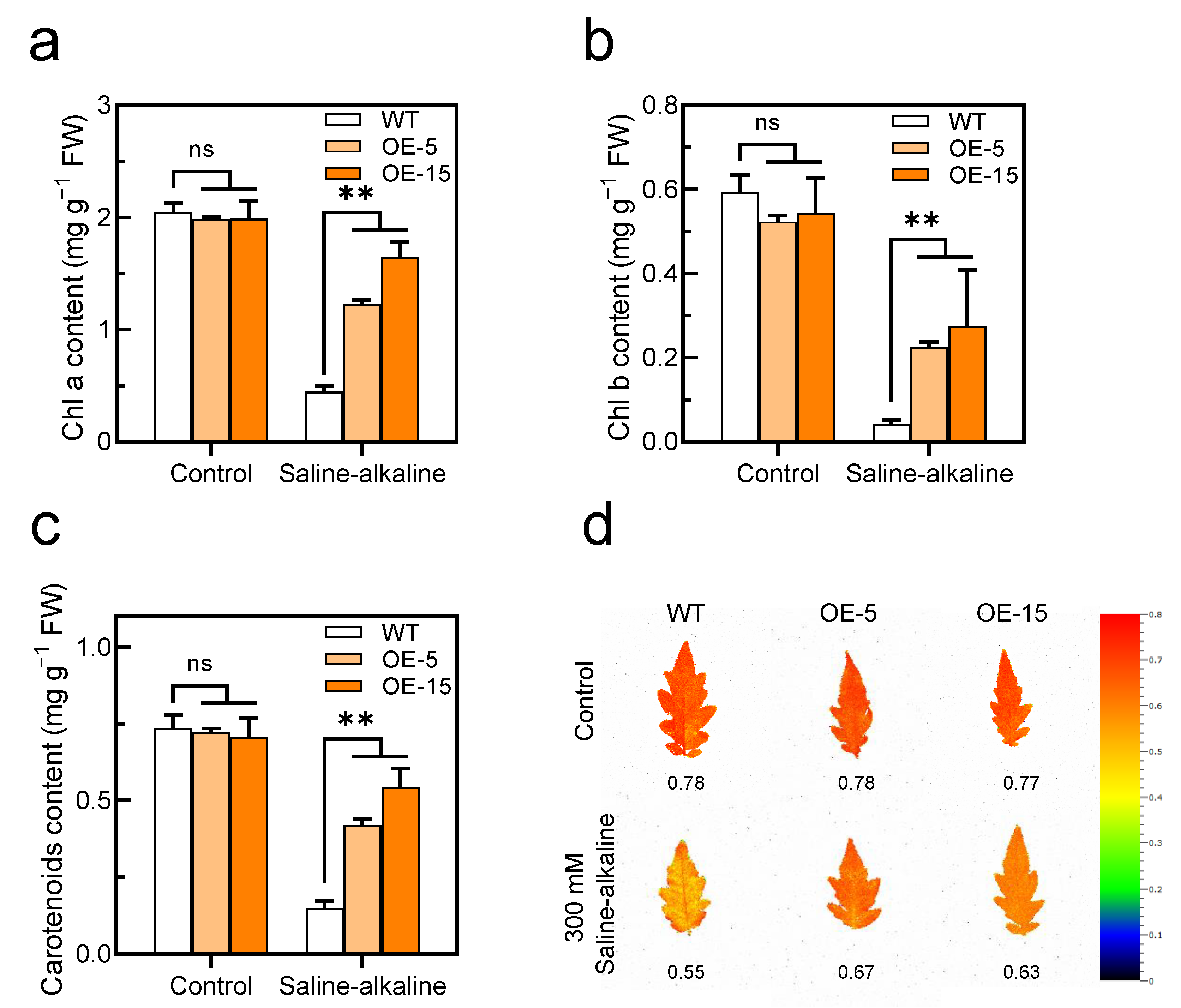 Antioxidants 11 01673 g005