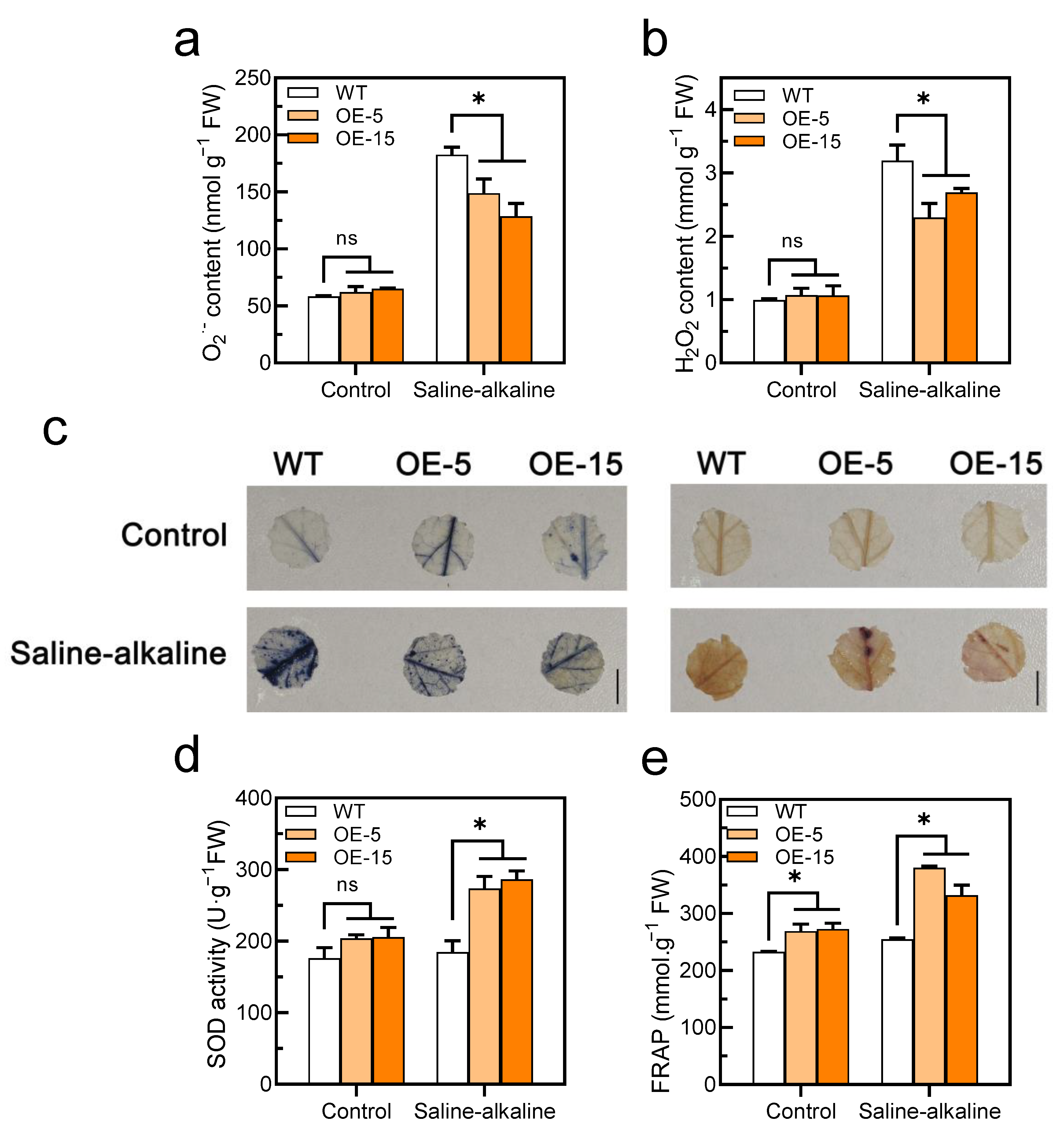 Antioxidants 11 01673 g006