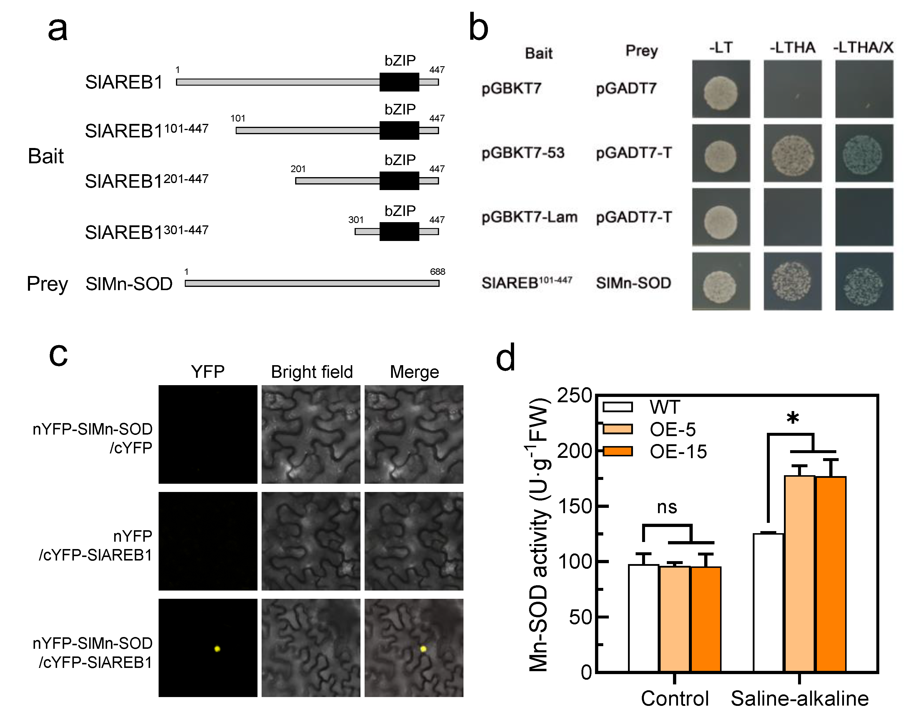 Antioxidants 11 01673 g007