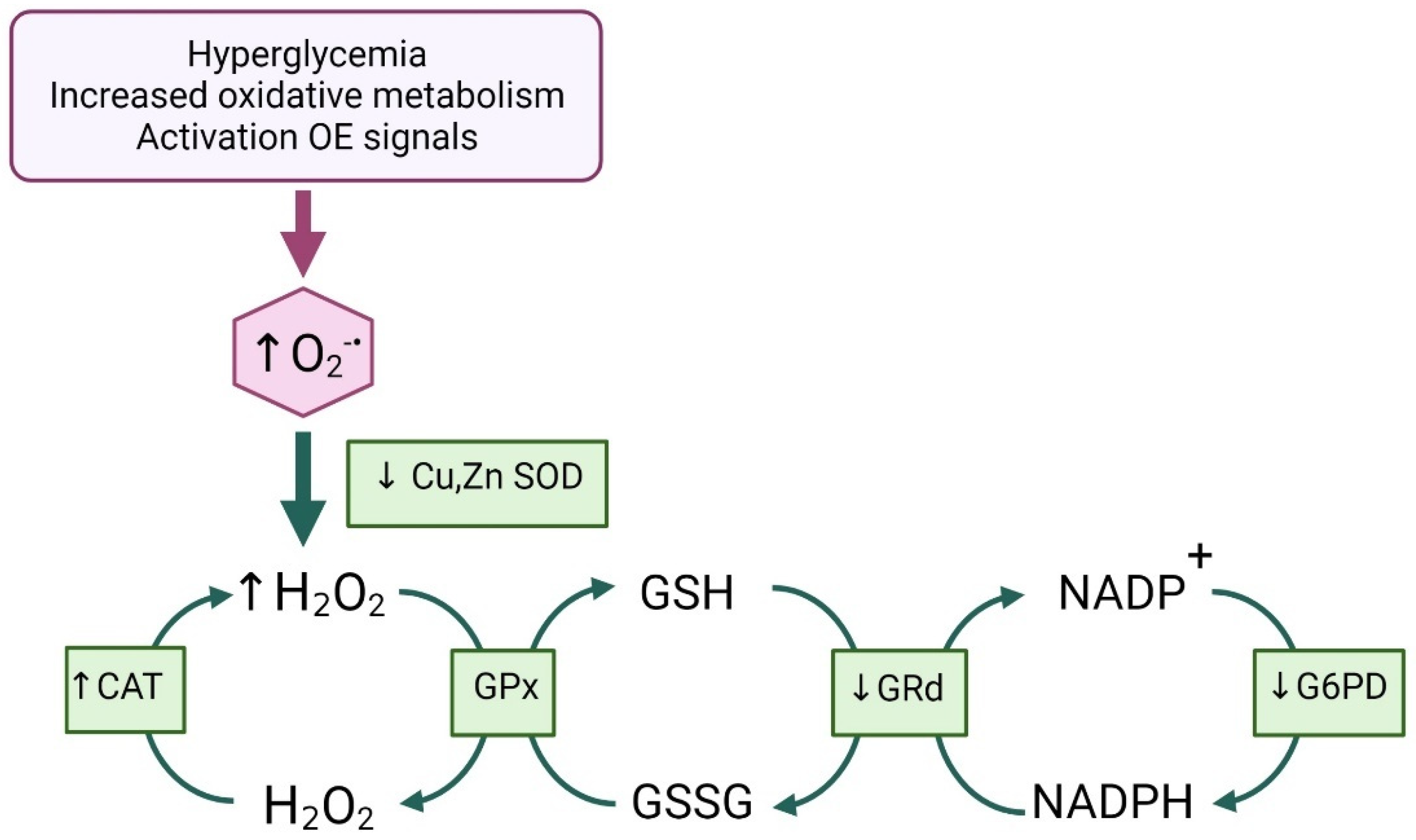 Antioxidants 11 01675 g007