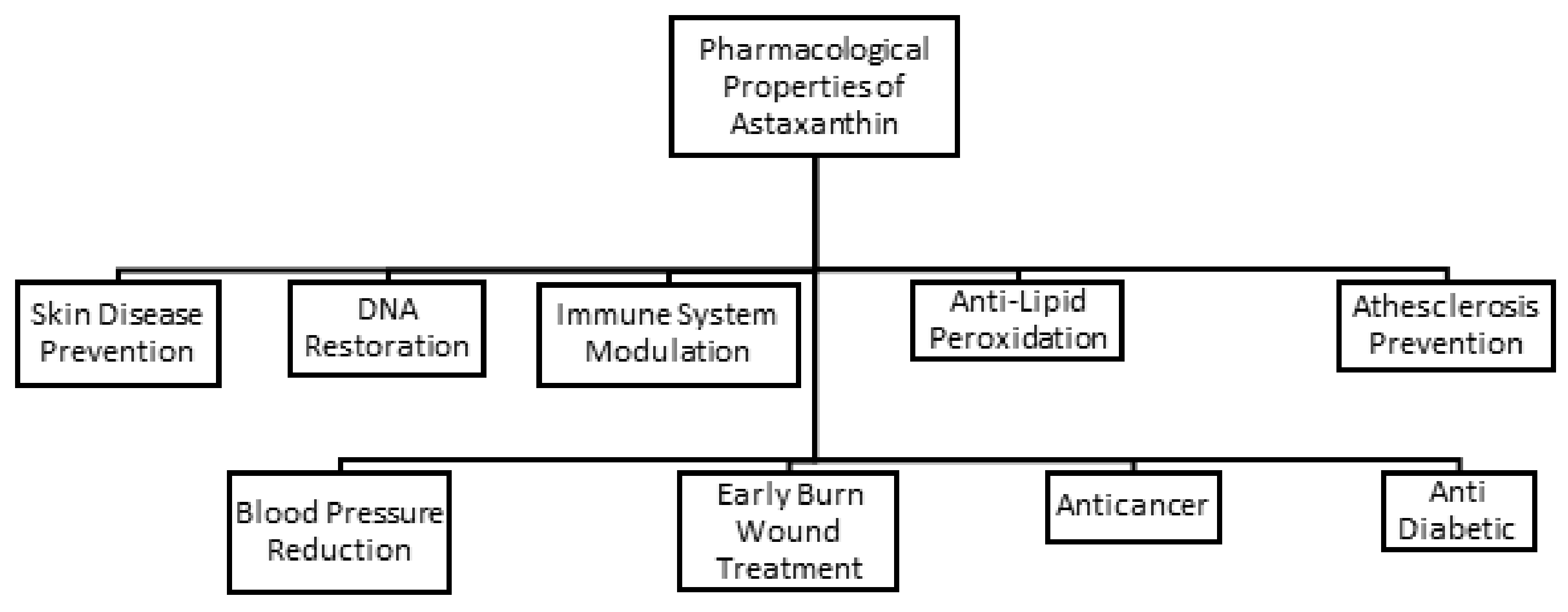 Antioxidants 11 01676 g002