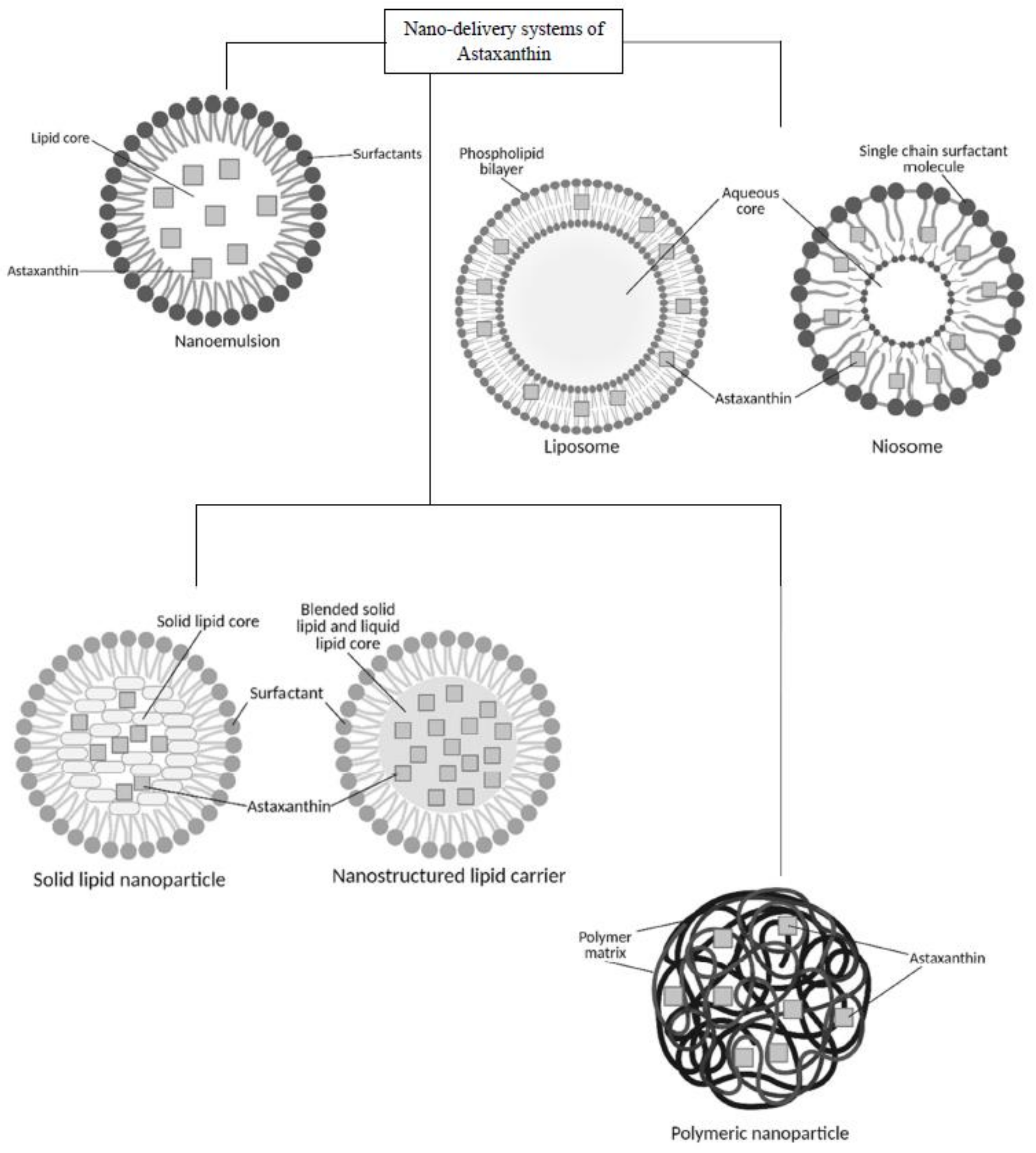 Antioxidants 11 01676 g004