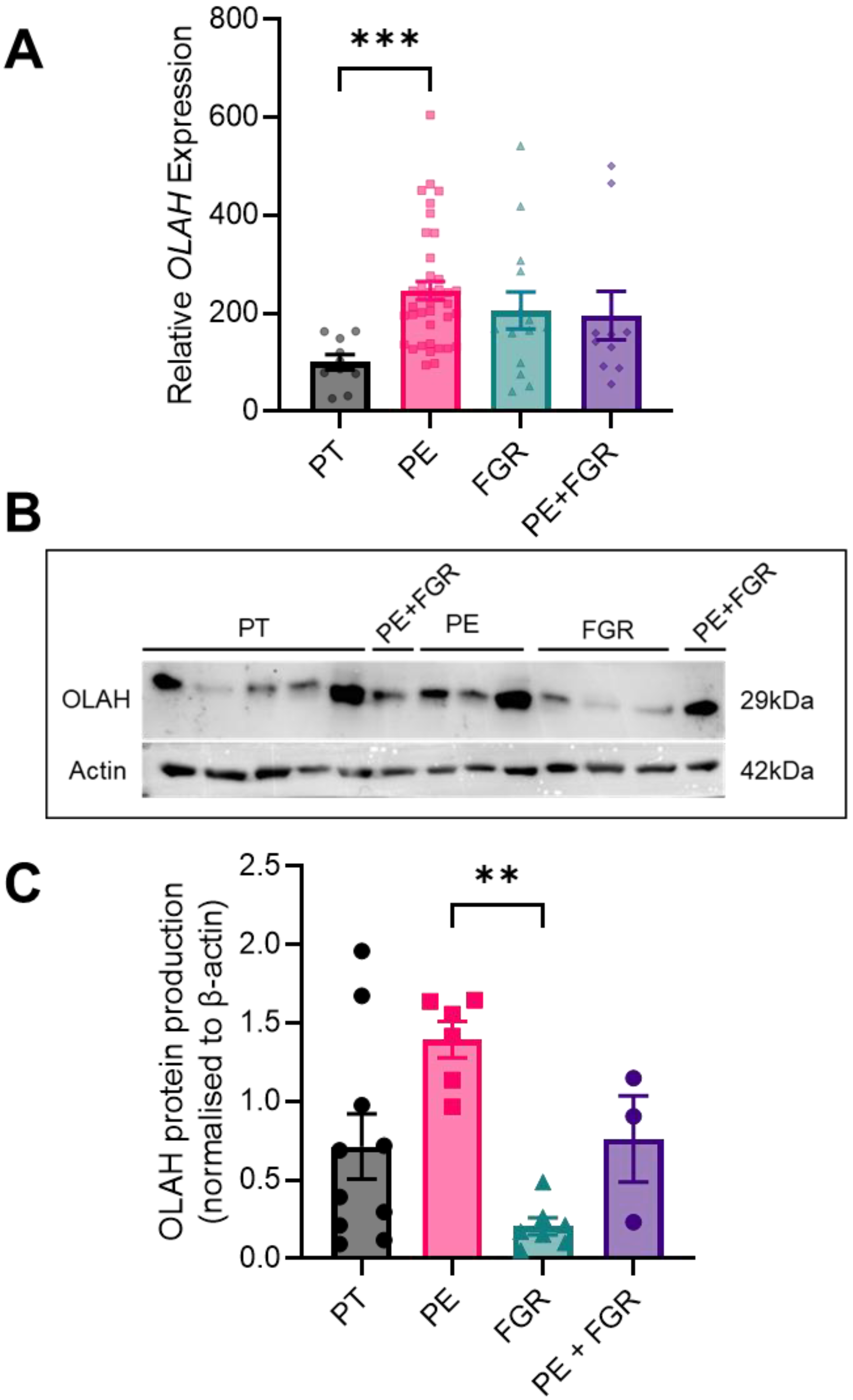 Antioxidants 11 01677 g003