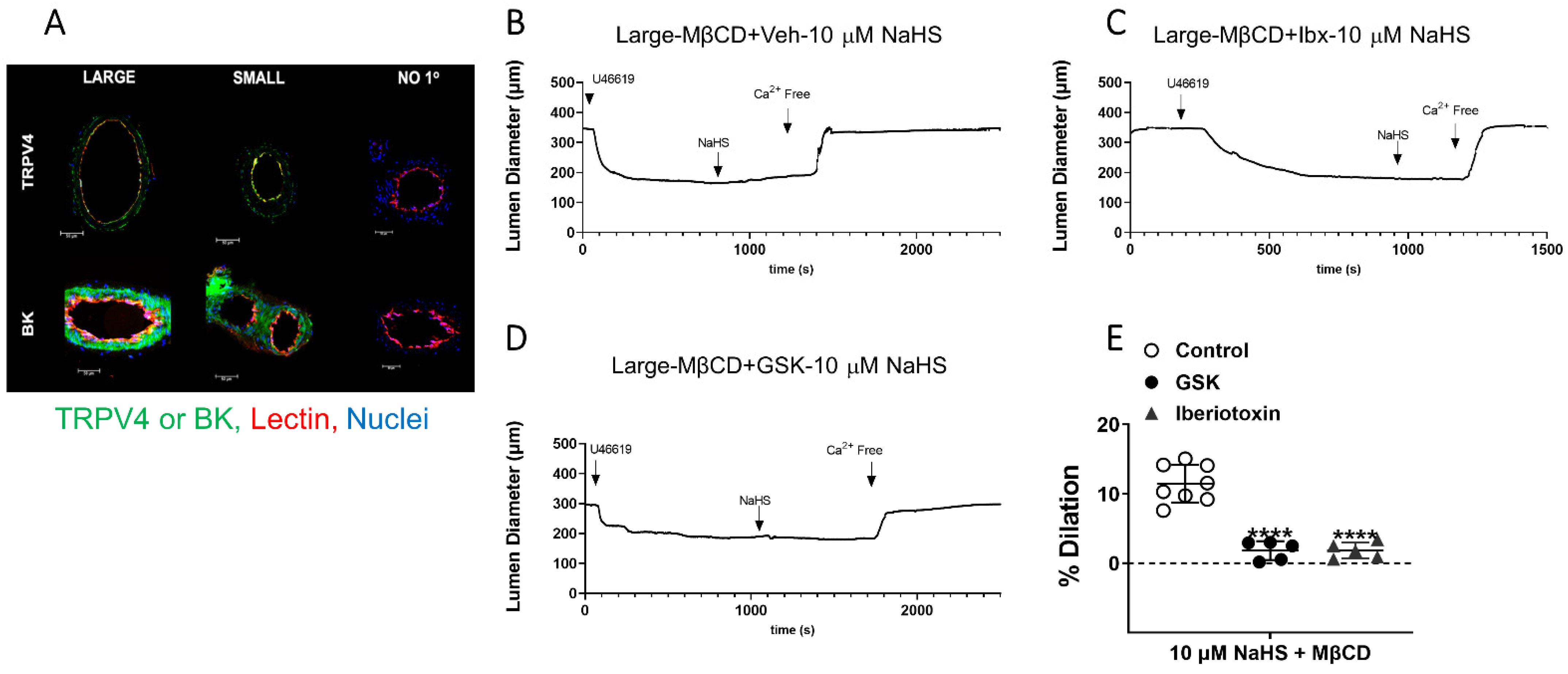 Antioxidants 11 01680 g004