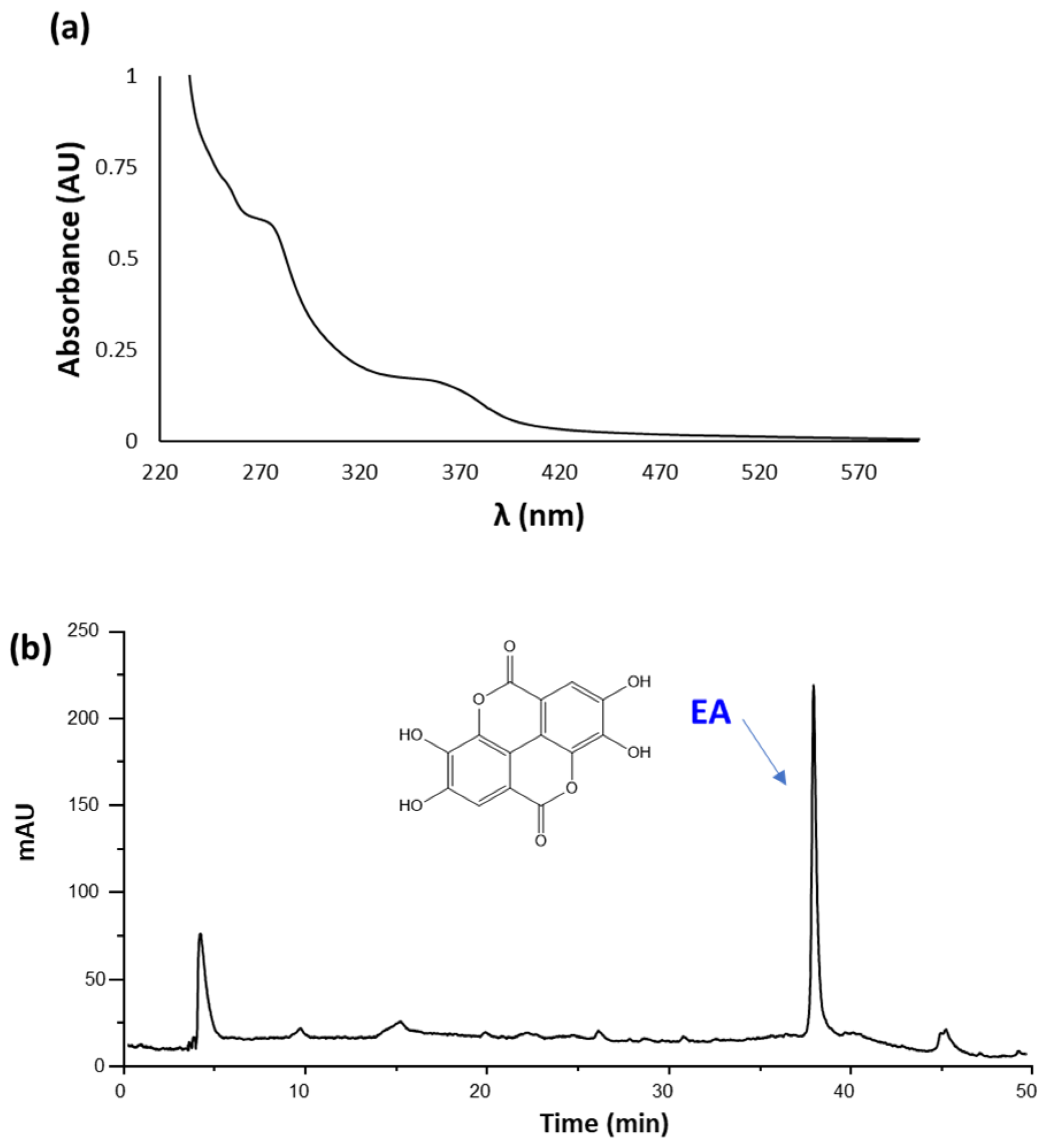 Antioxidants 11 01681 g001