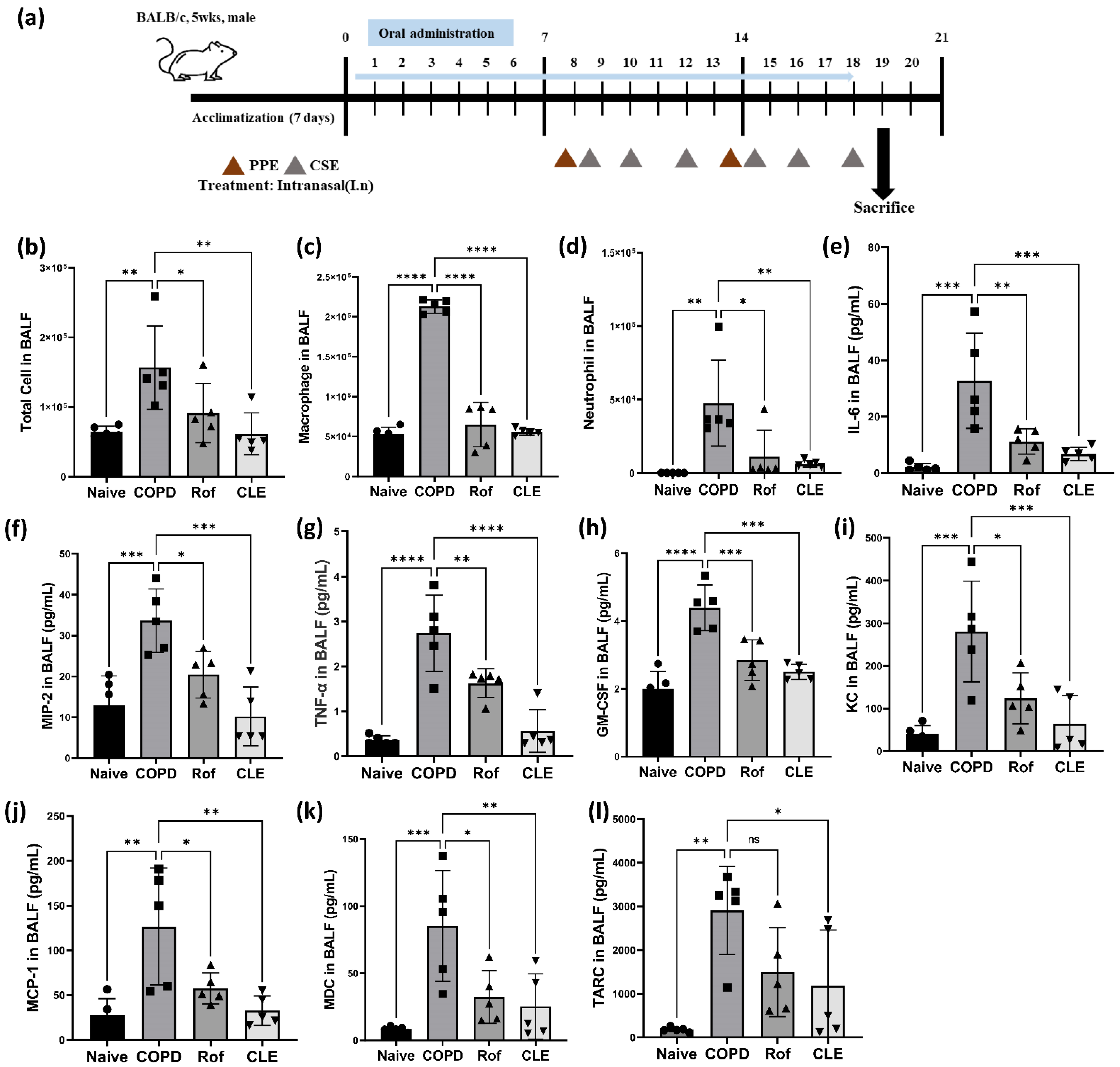 Antioxidants 11 01683 g001