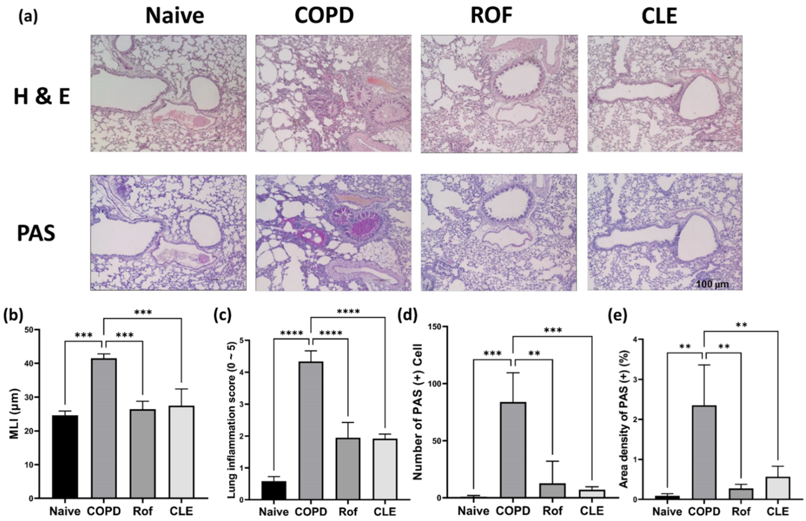Antioxidants 11 01683 g002