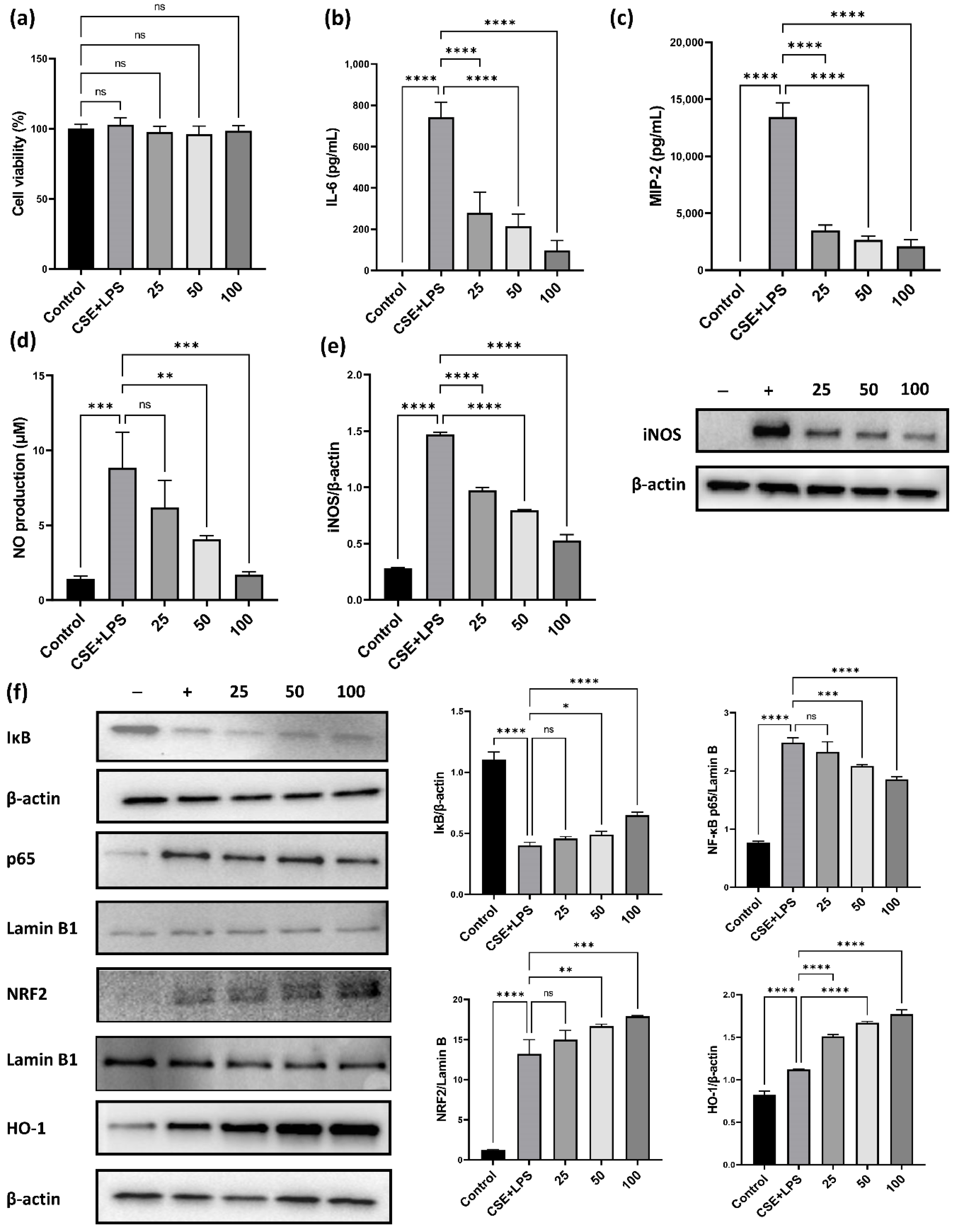 Antioxidants 11 01683 g005