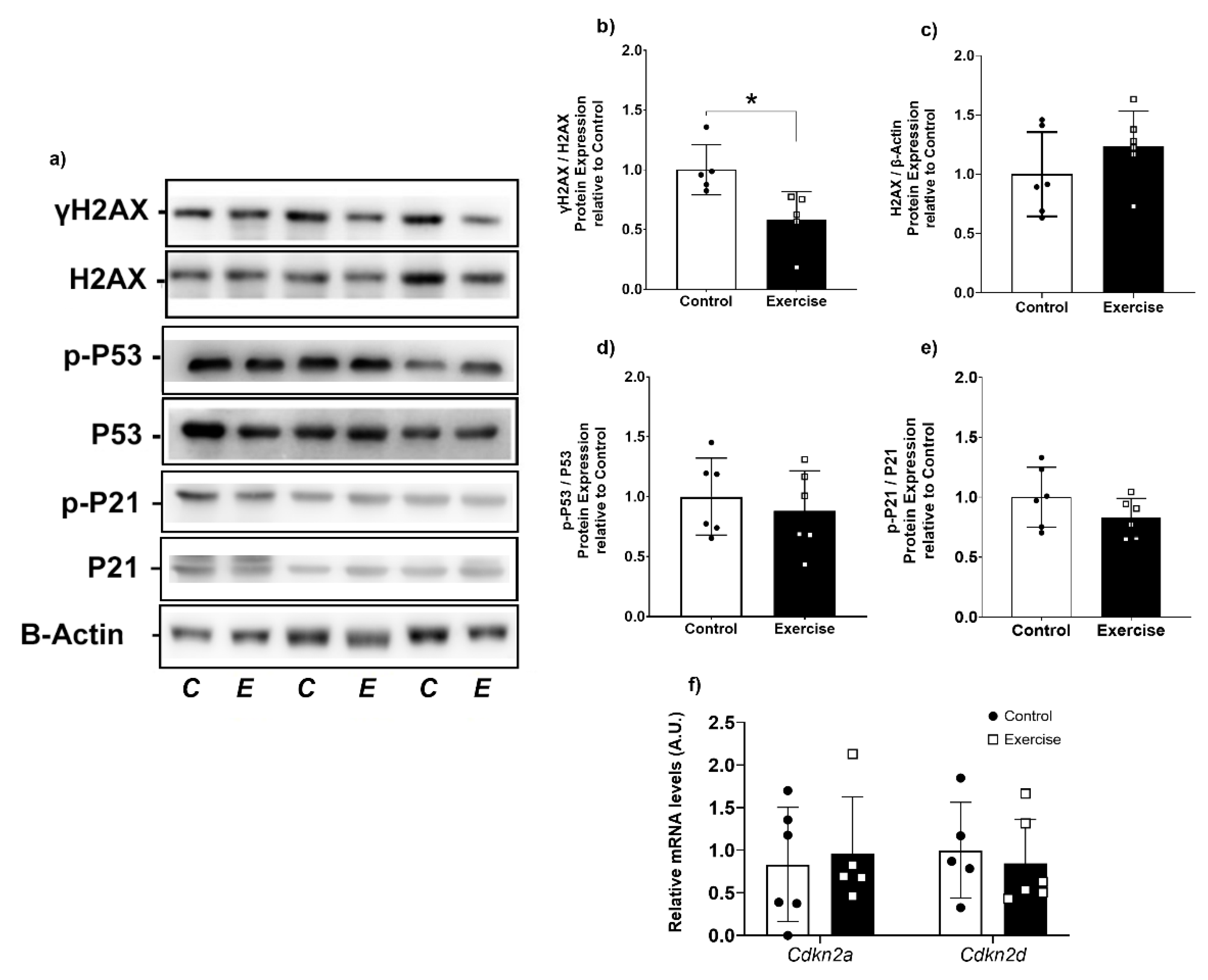 Antioxidants 11 01689 g008