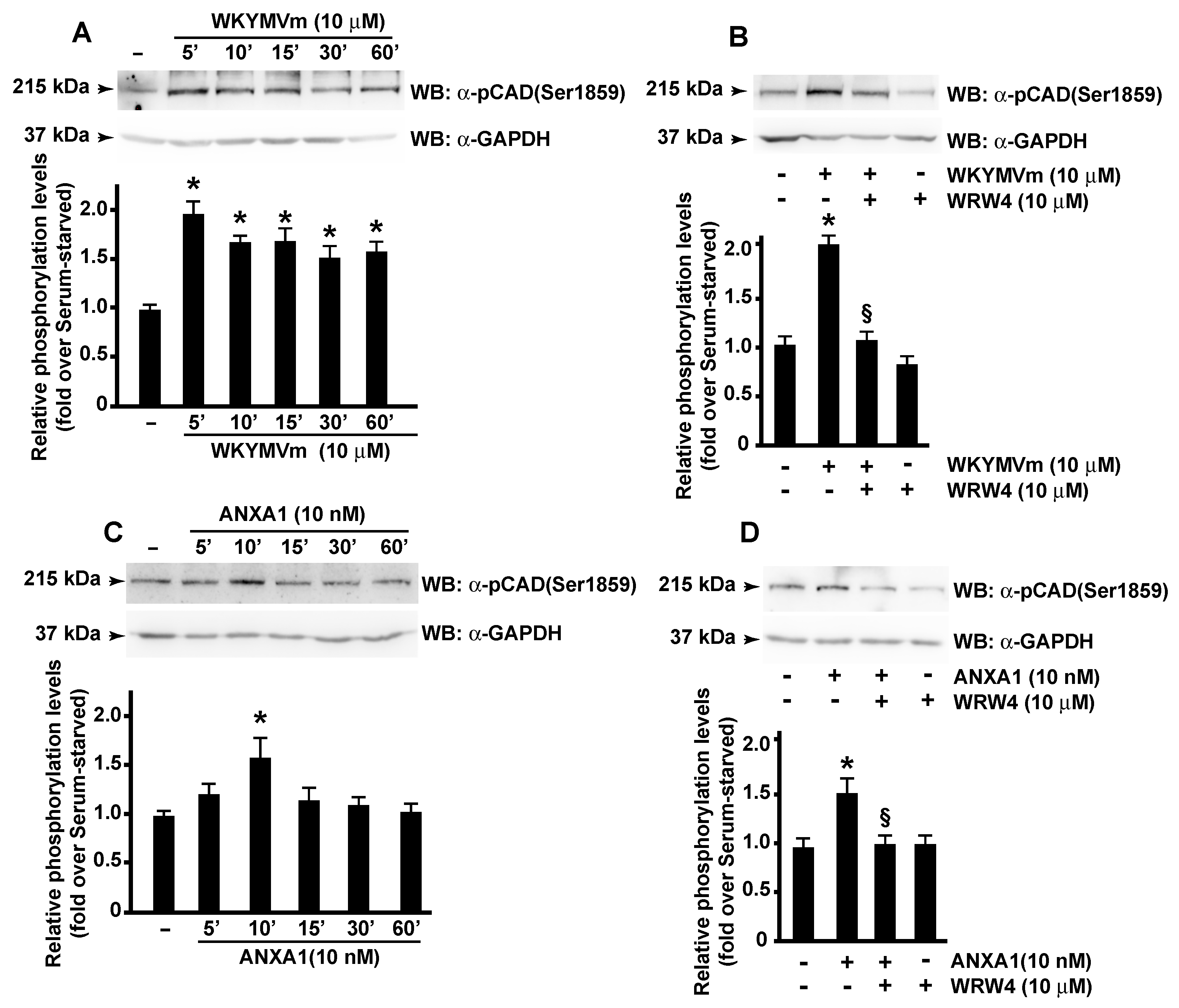 Antioxidants 11 01692 g005