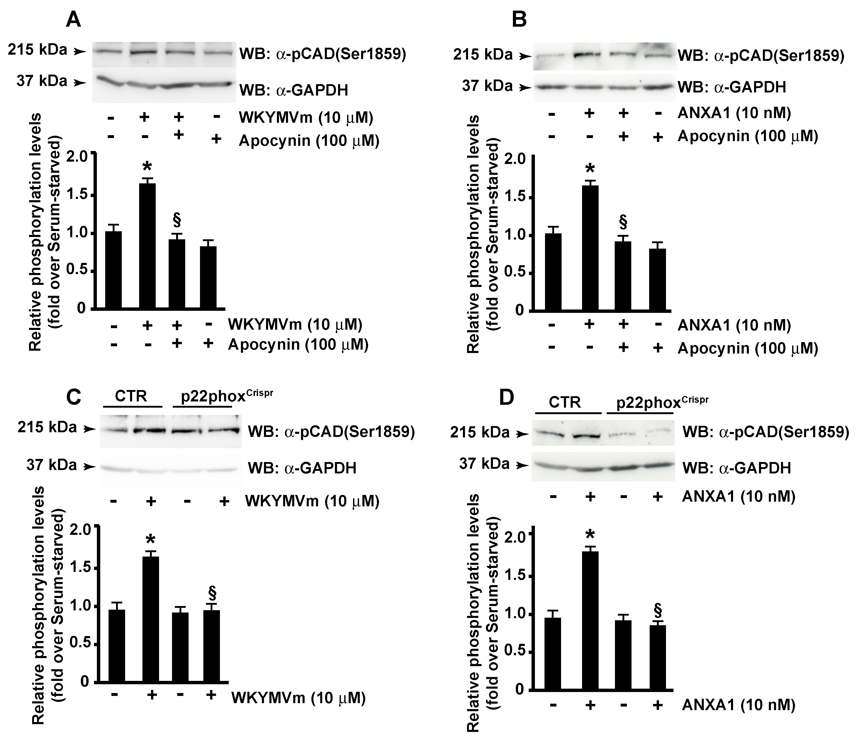 Antioxidants 11 01692 g006