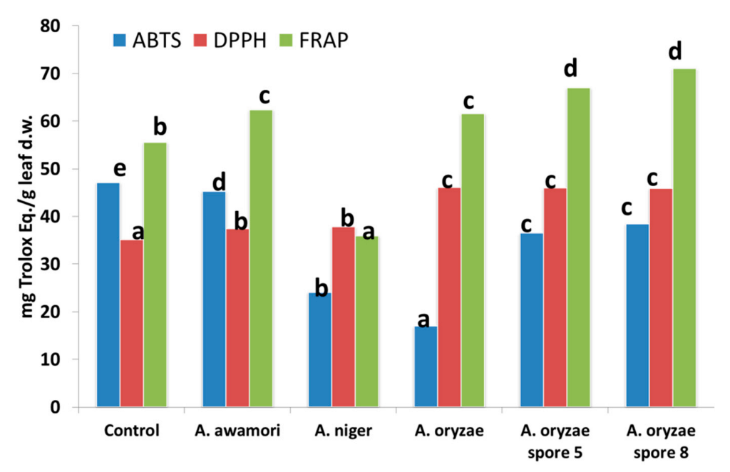 Antioxidants 11 01693 g004