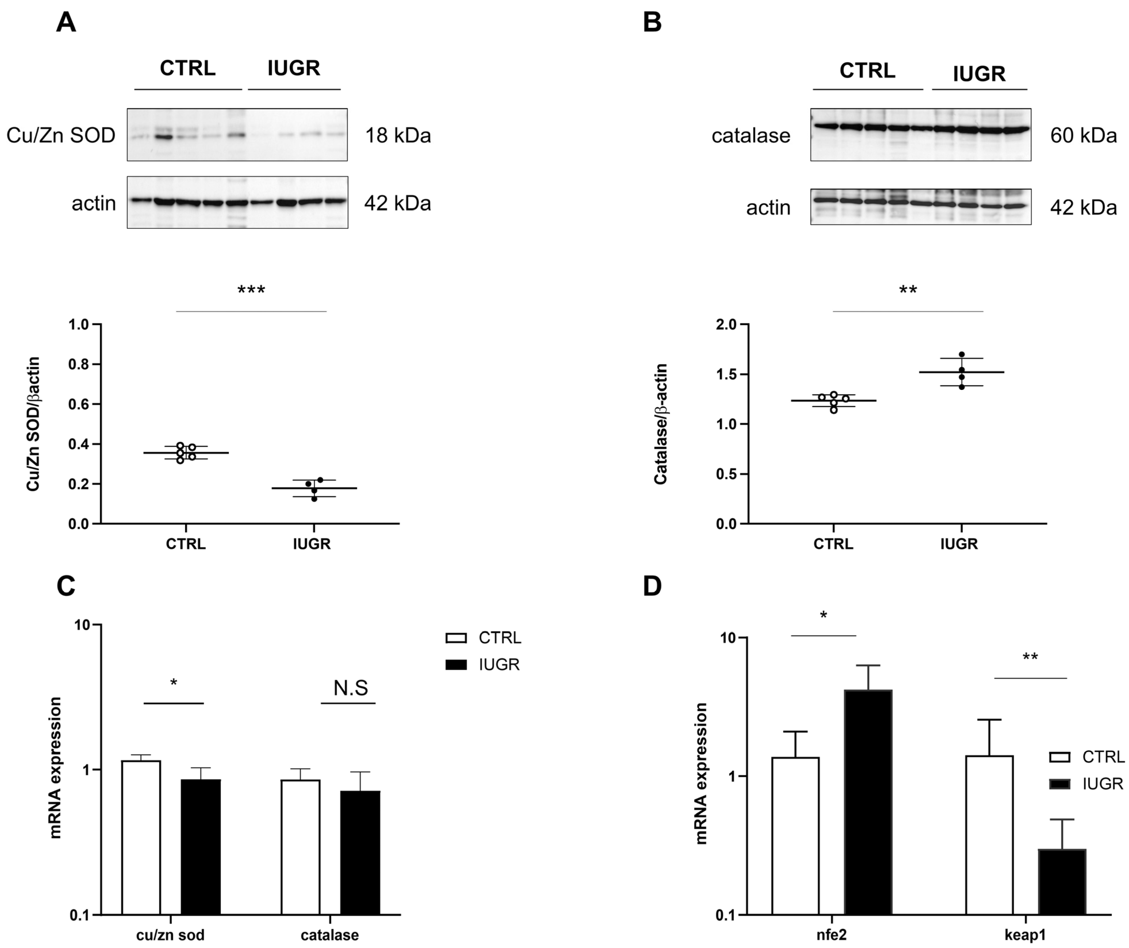 Antioxidants 11 01695 g009