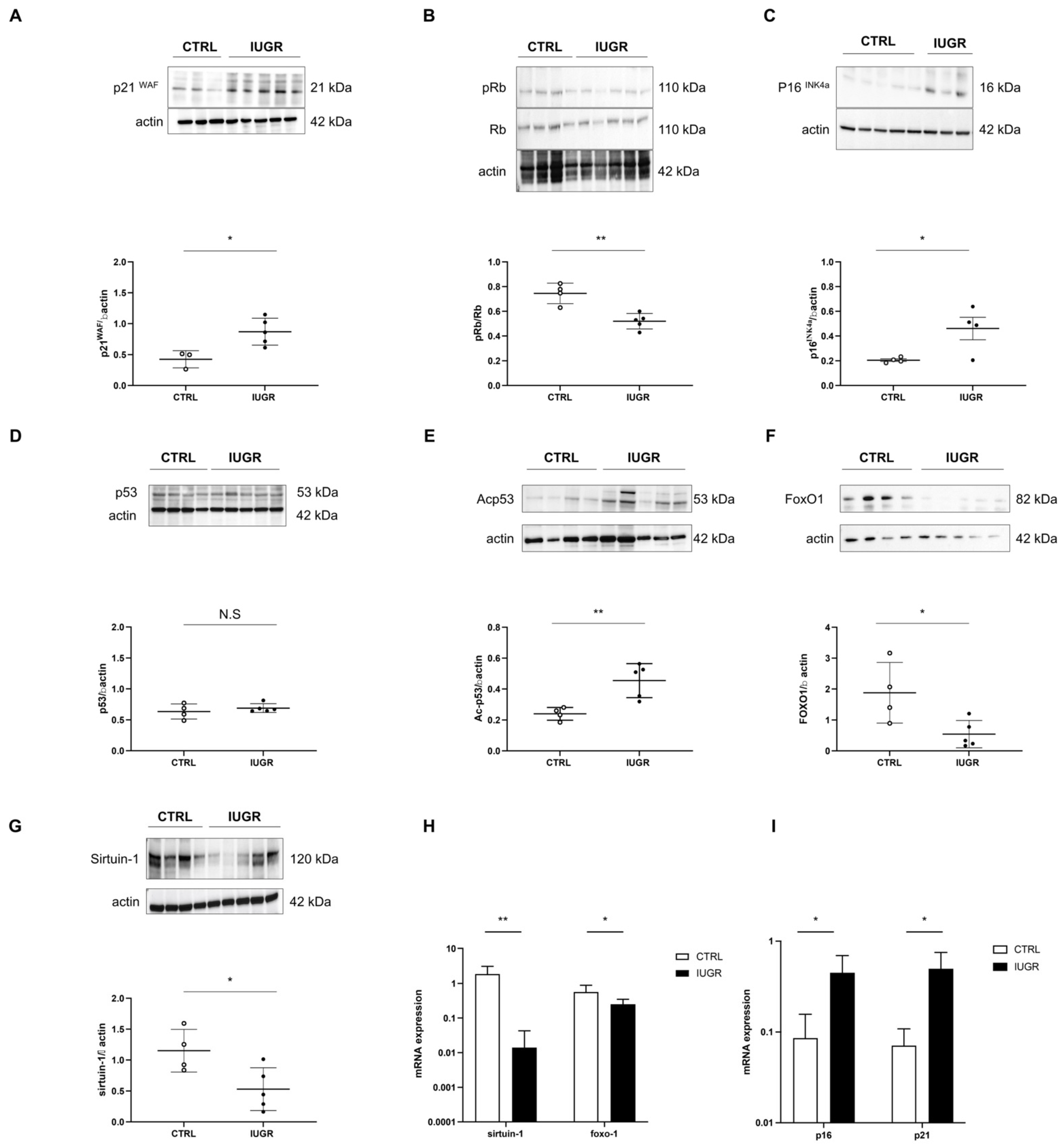 Antioxidants 11 01695 g012