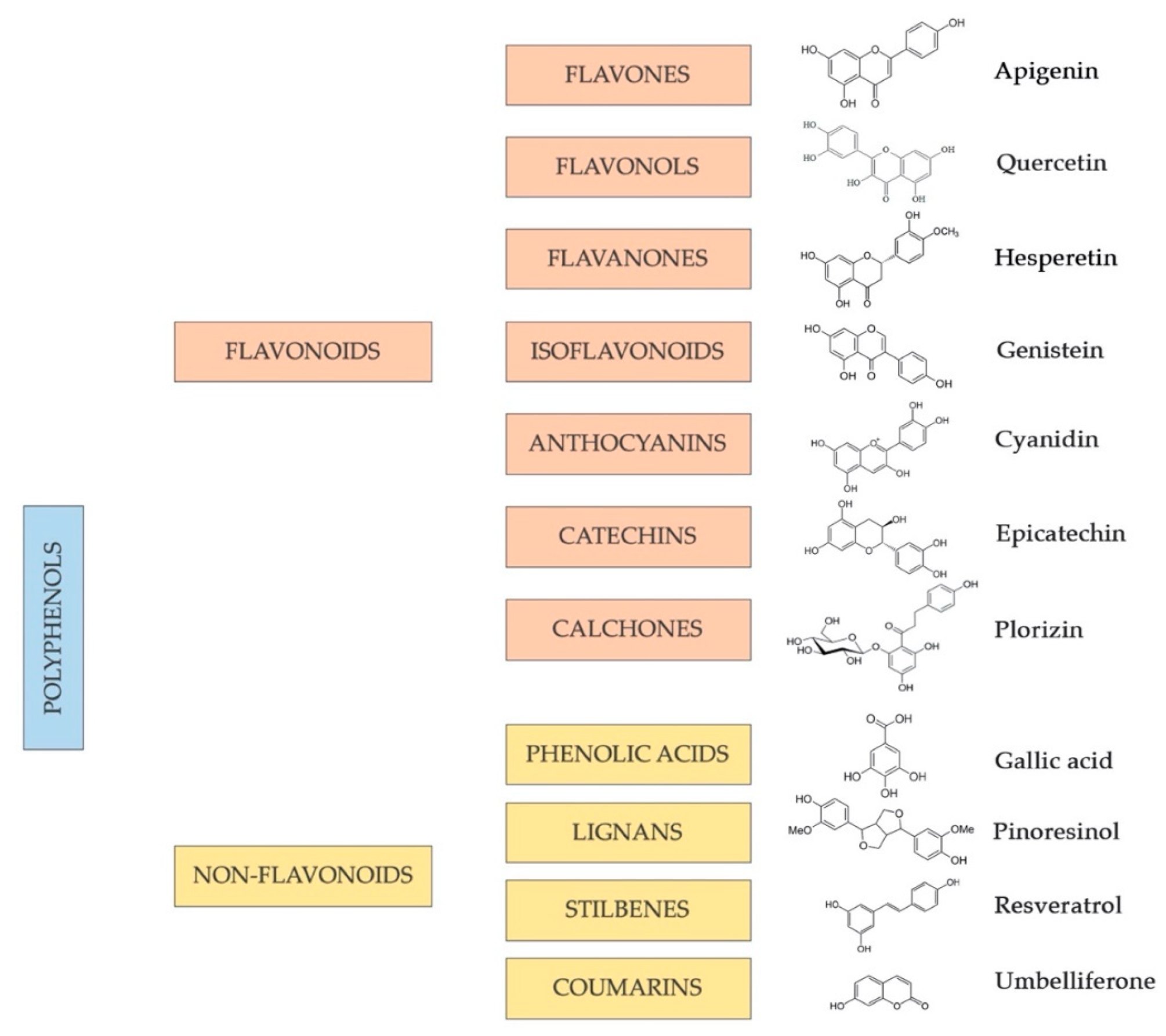 Antioxidants 11 01700 g003