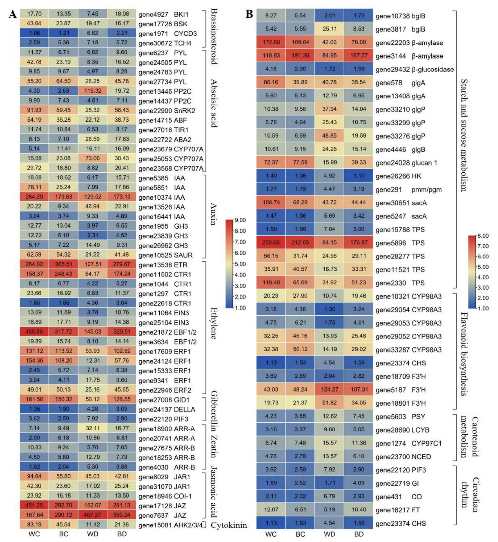 Antioxidants 11 01701 g008