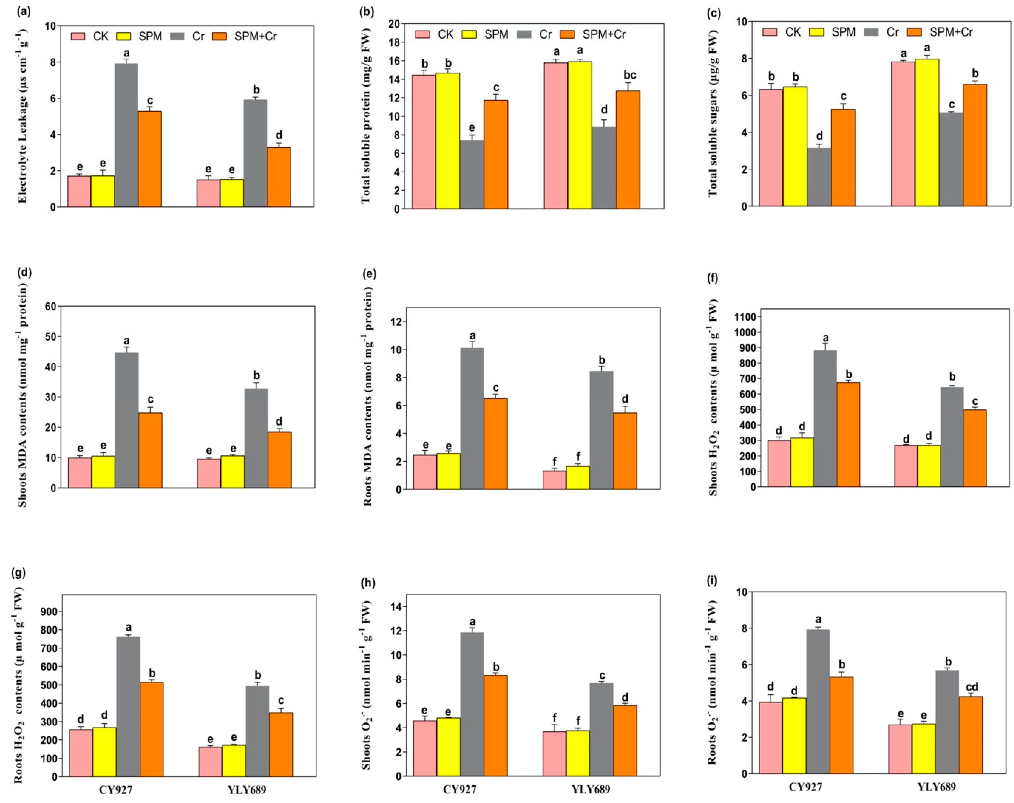 Antioxidants 11 01704 g002