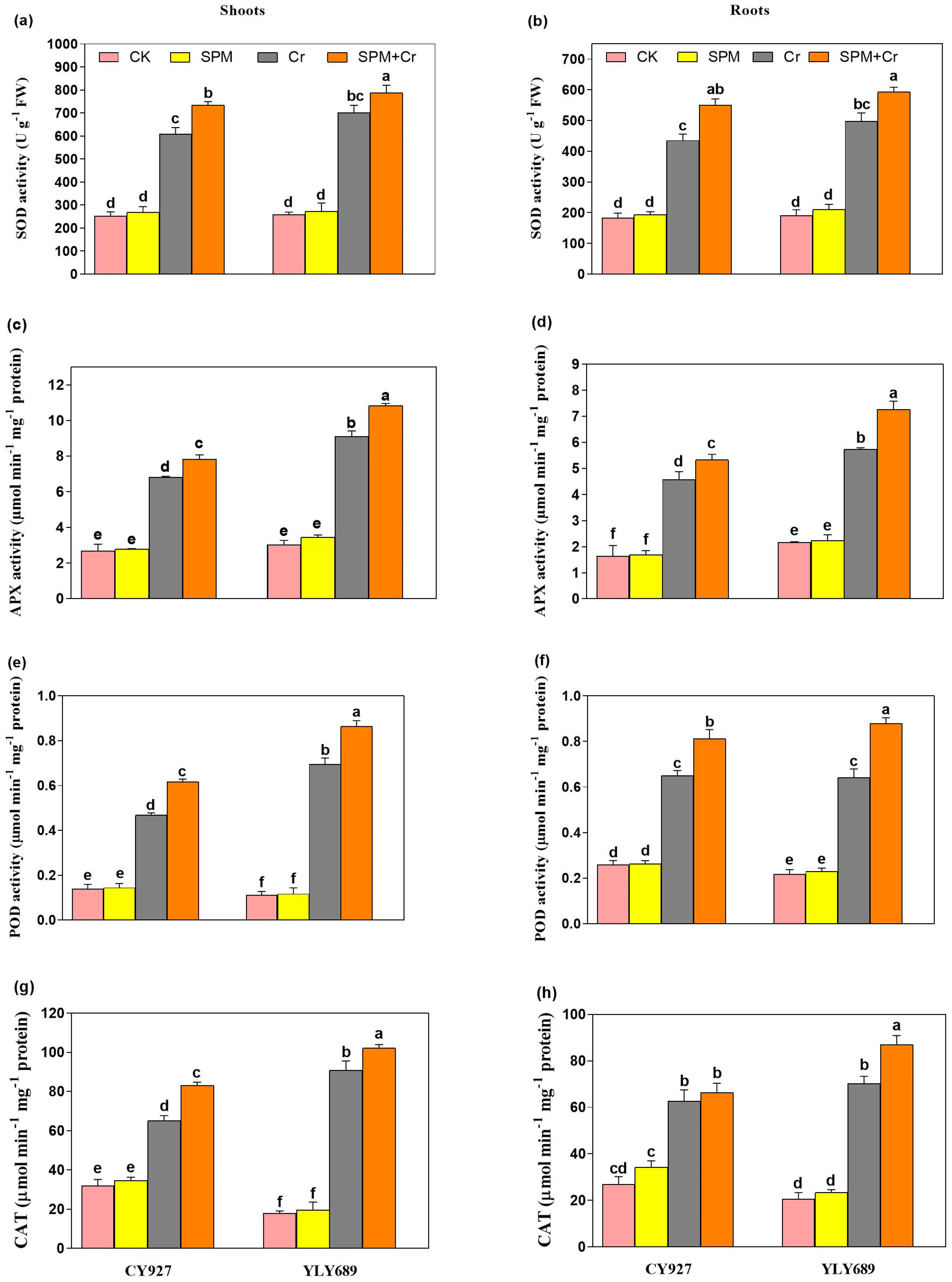 Antioxidants 11 01704 g004