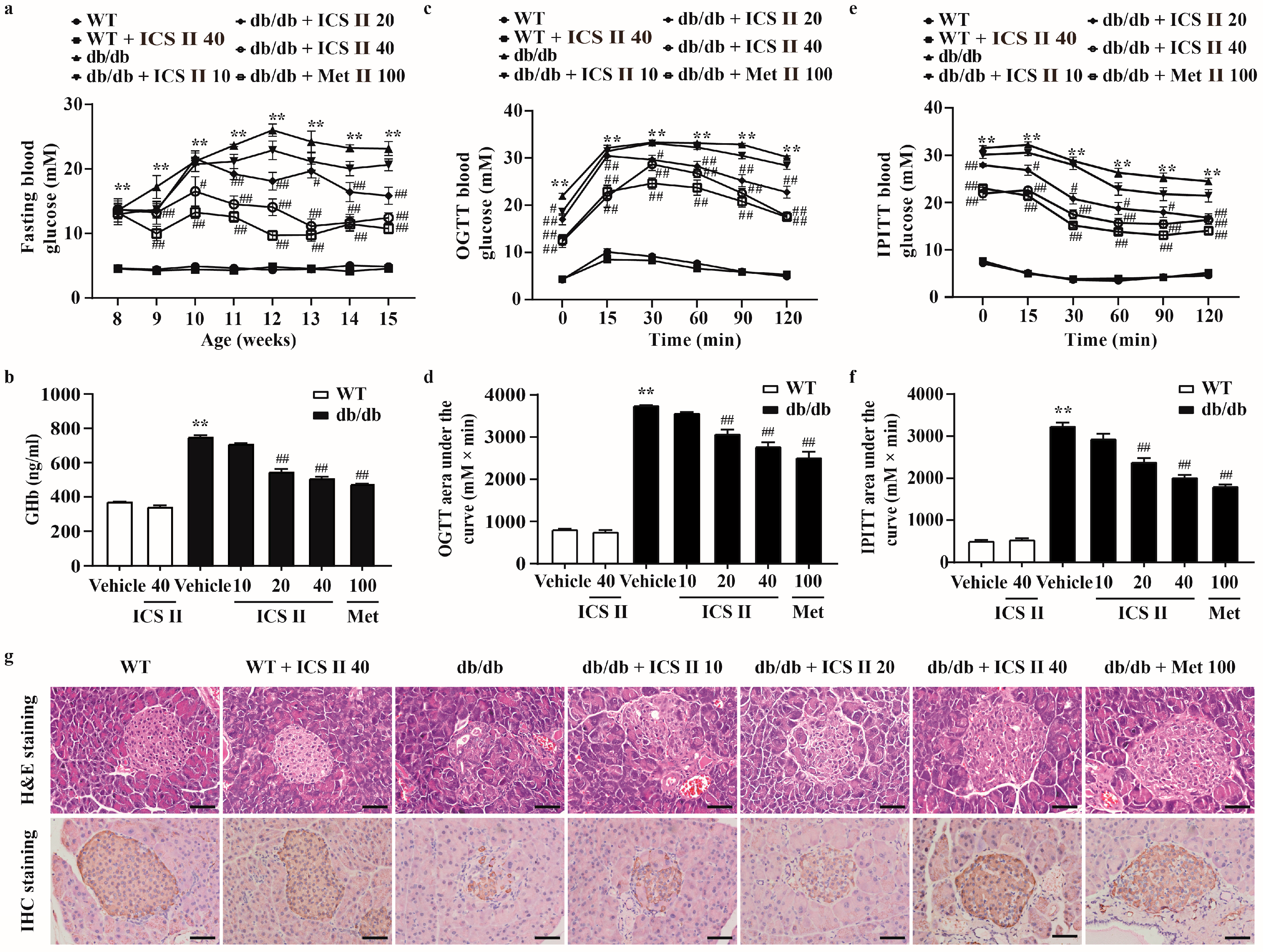 Antioxidants 11 01705 g001
