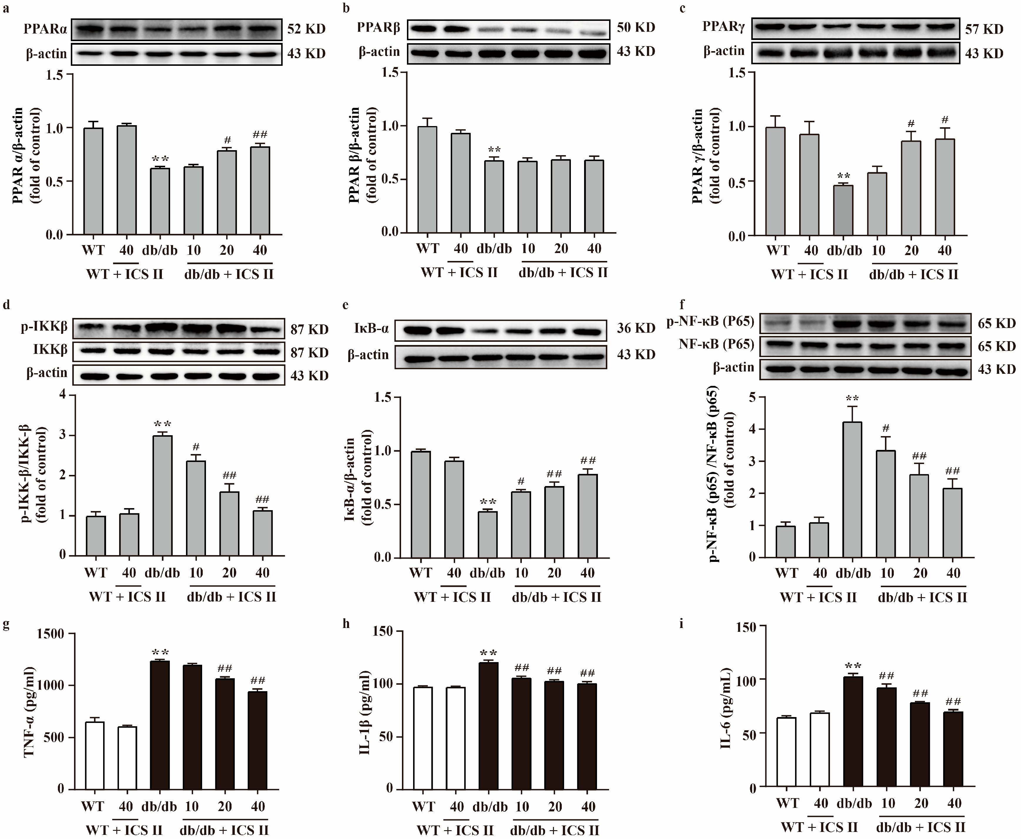 Antioxidants 11 01705 g005