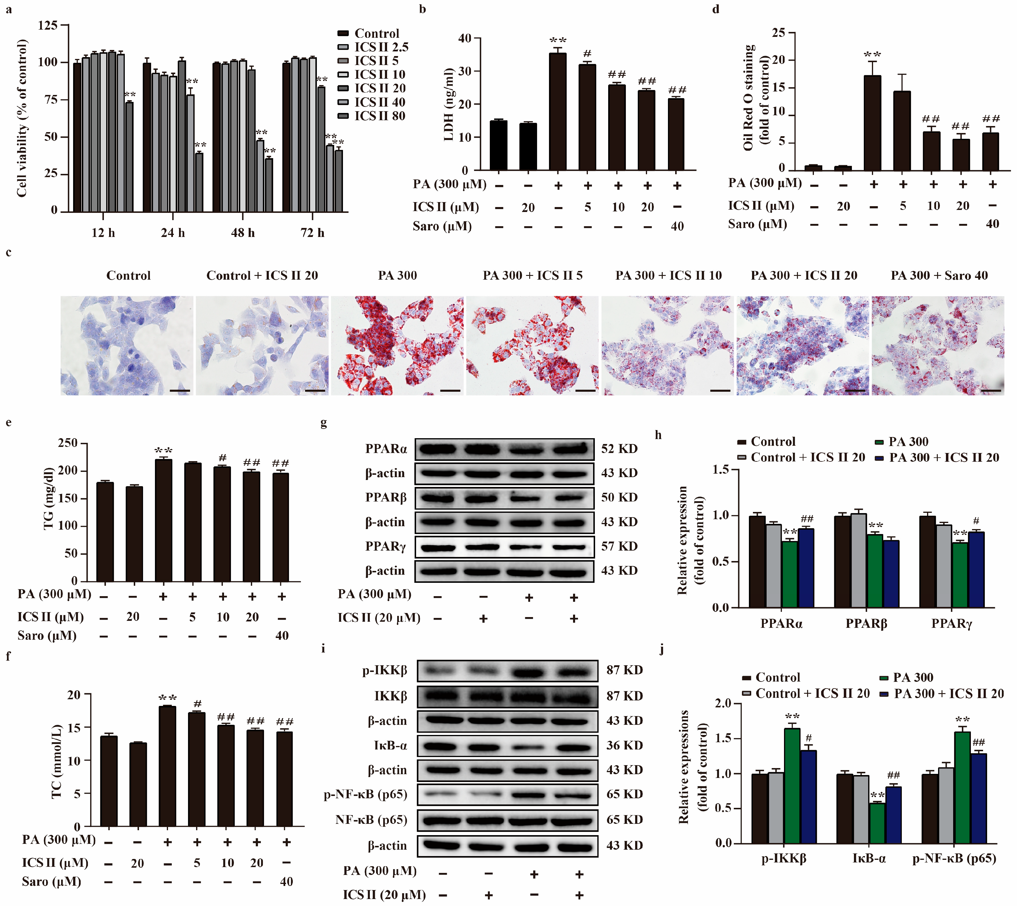 Antioxidants 11 01705 g007
