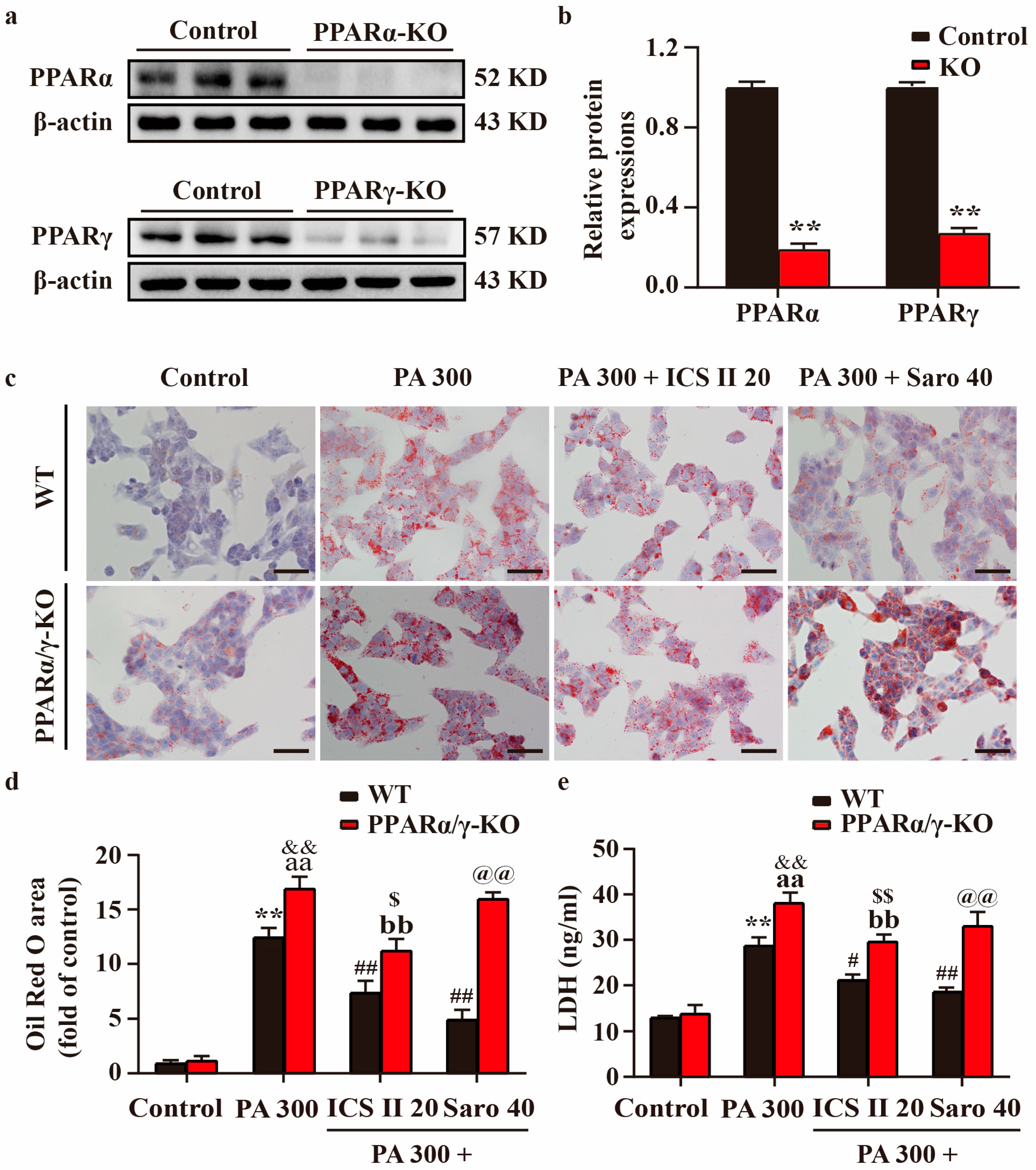 Antioxidants 11 01705 g010