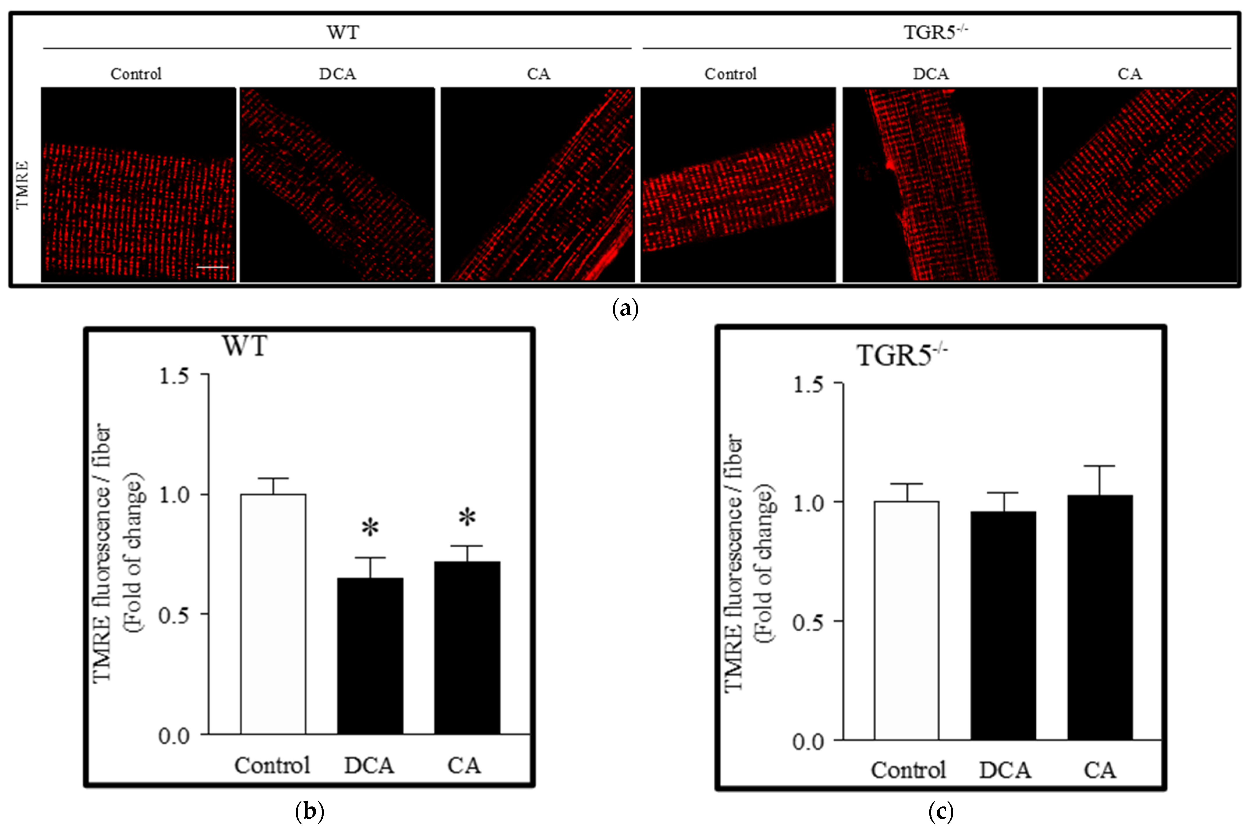Antioxidants 11 01706 g003