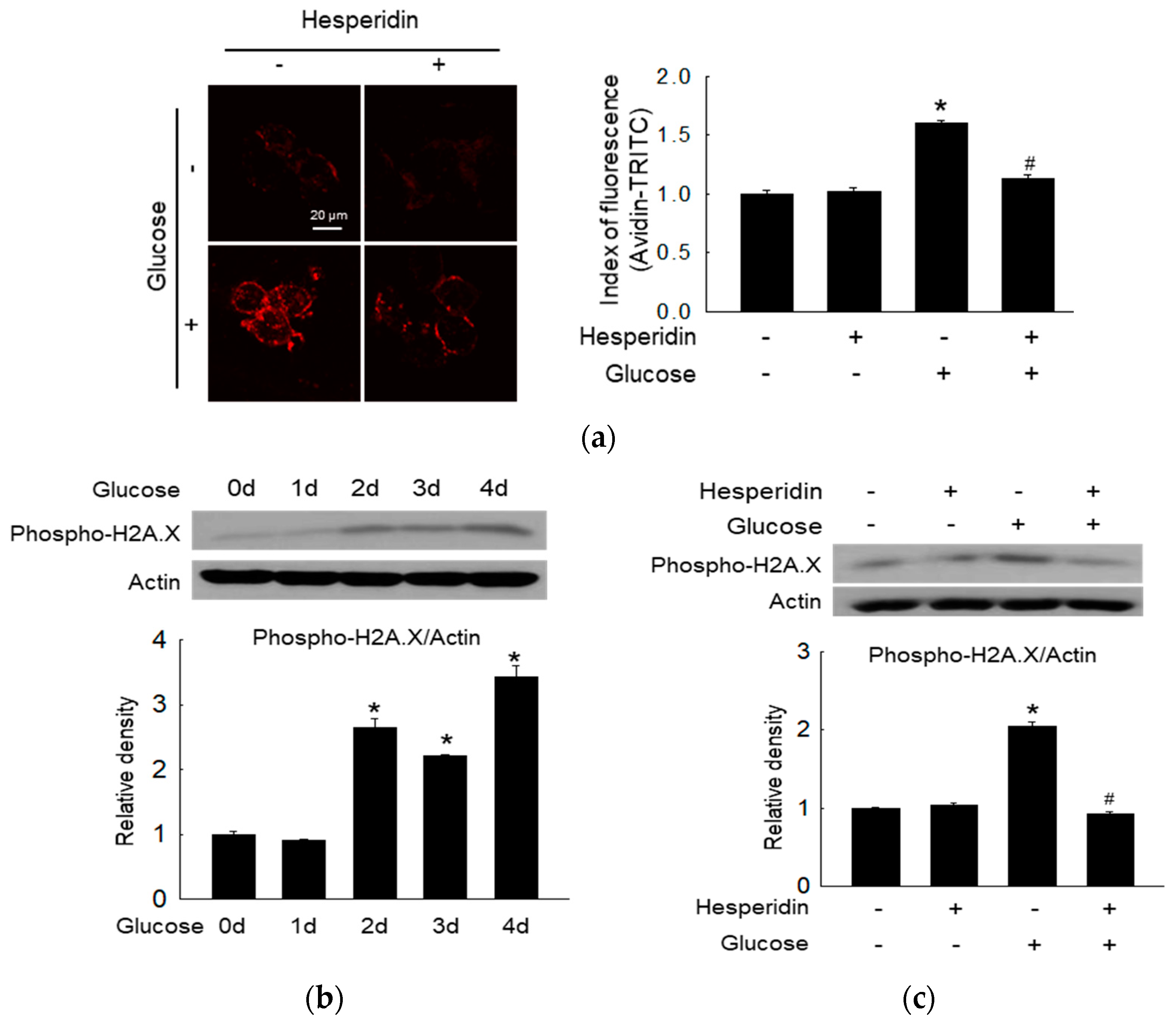 Antioxidants 11 01707 g002