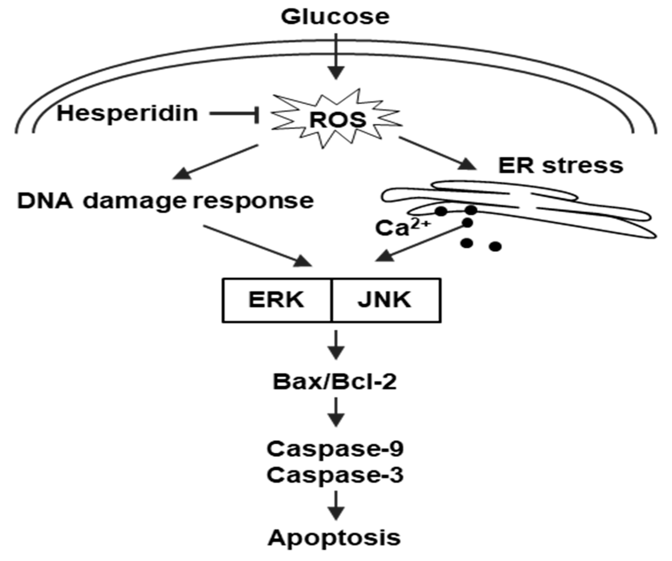 Antioxidants 11 01707 g006