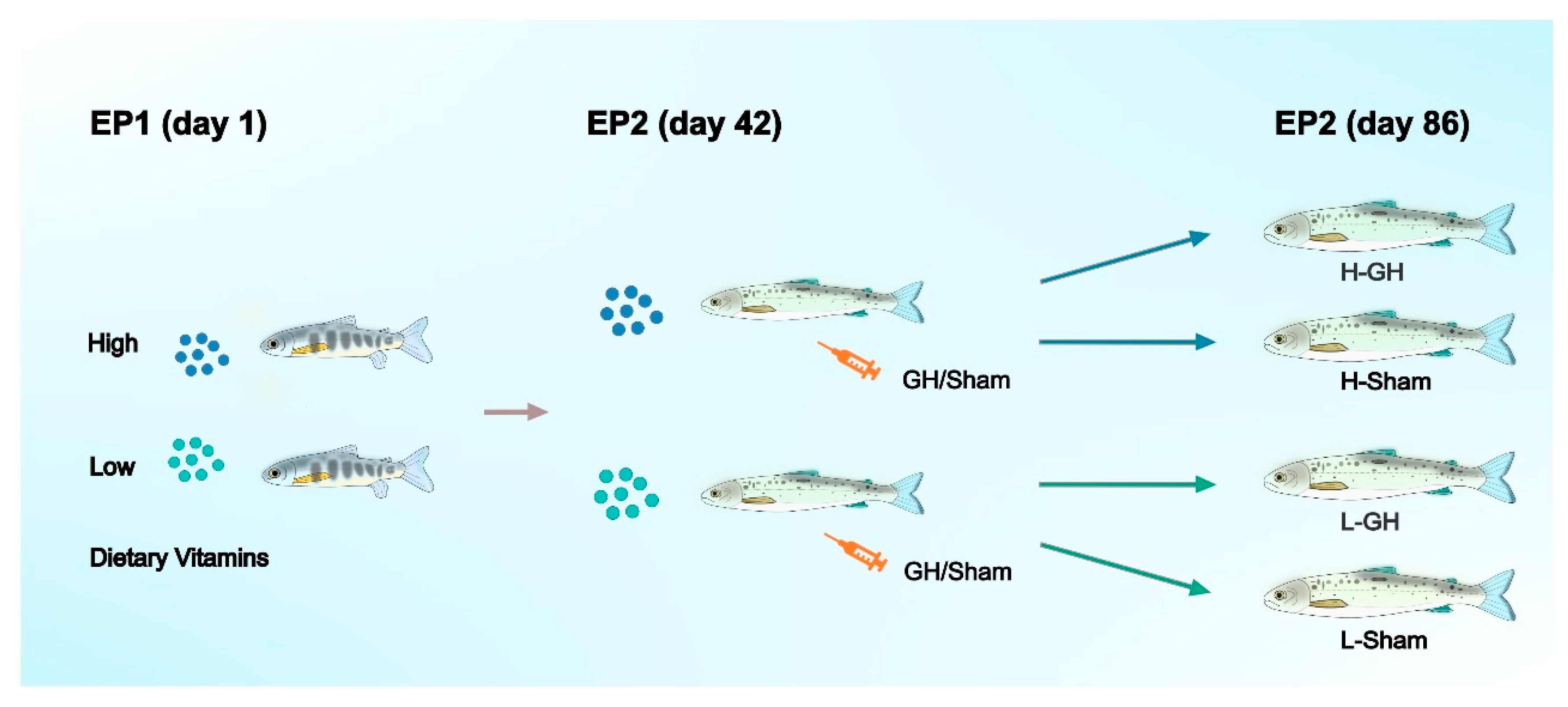 Antioxidants 11 01708 g001
