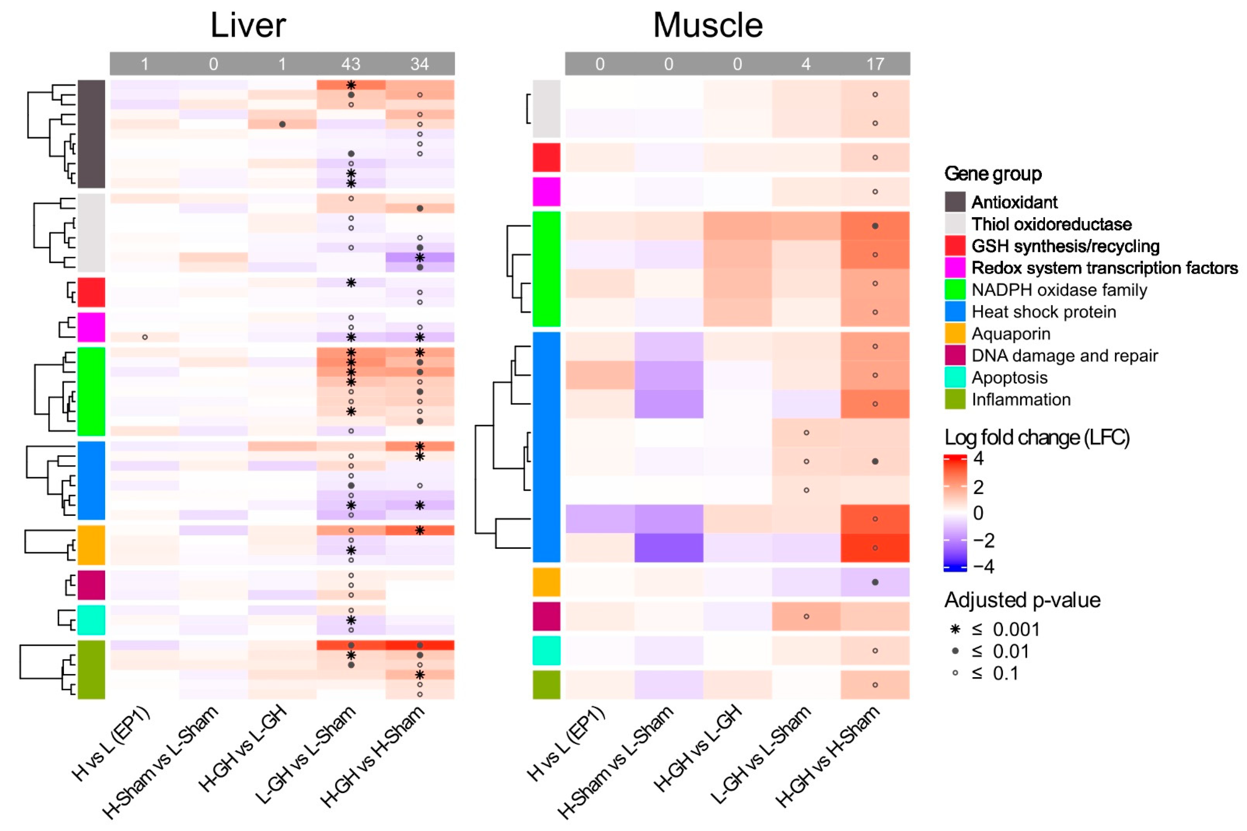 Antioxidants 11 01708 g008