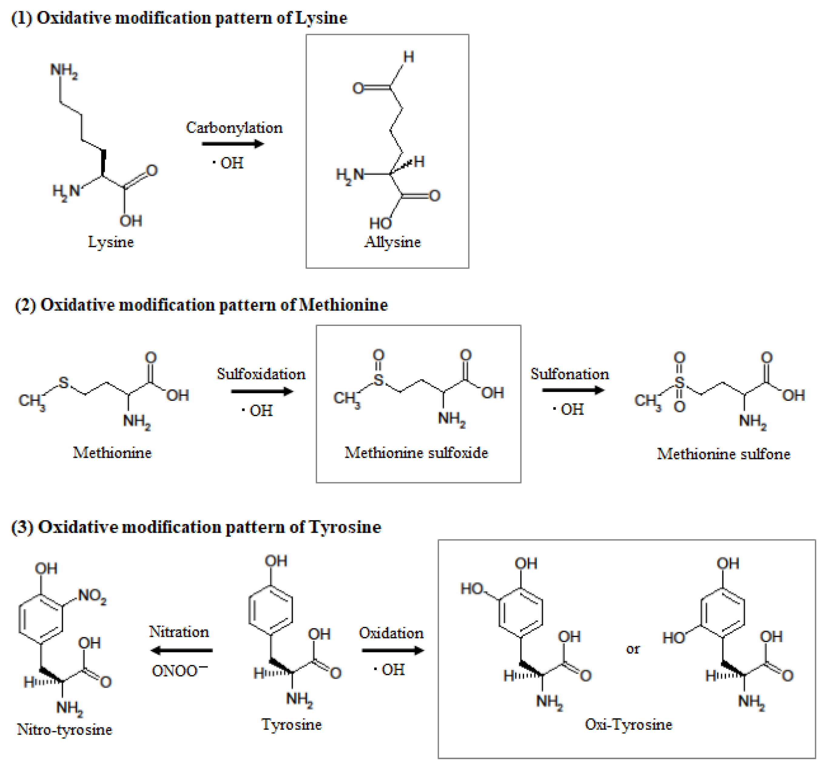 Antioxidants 11 01710 g006