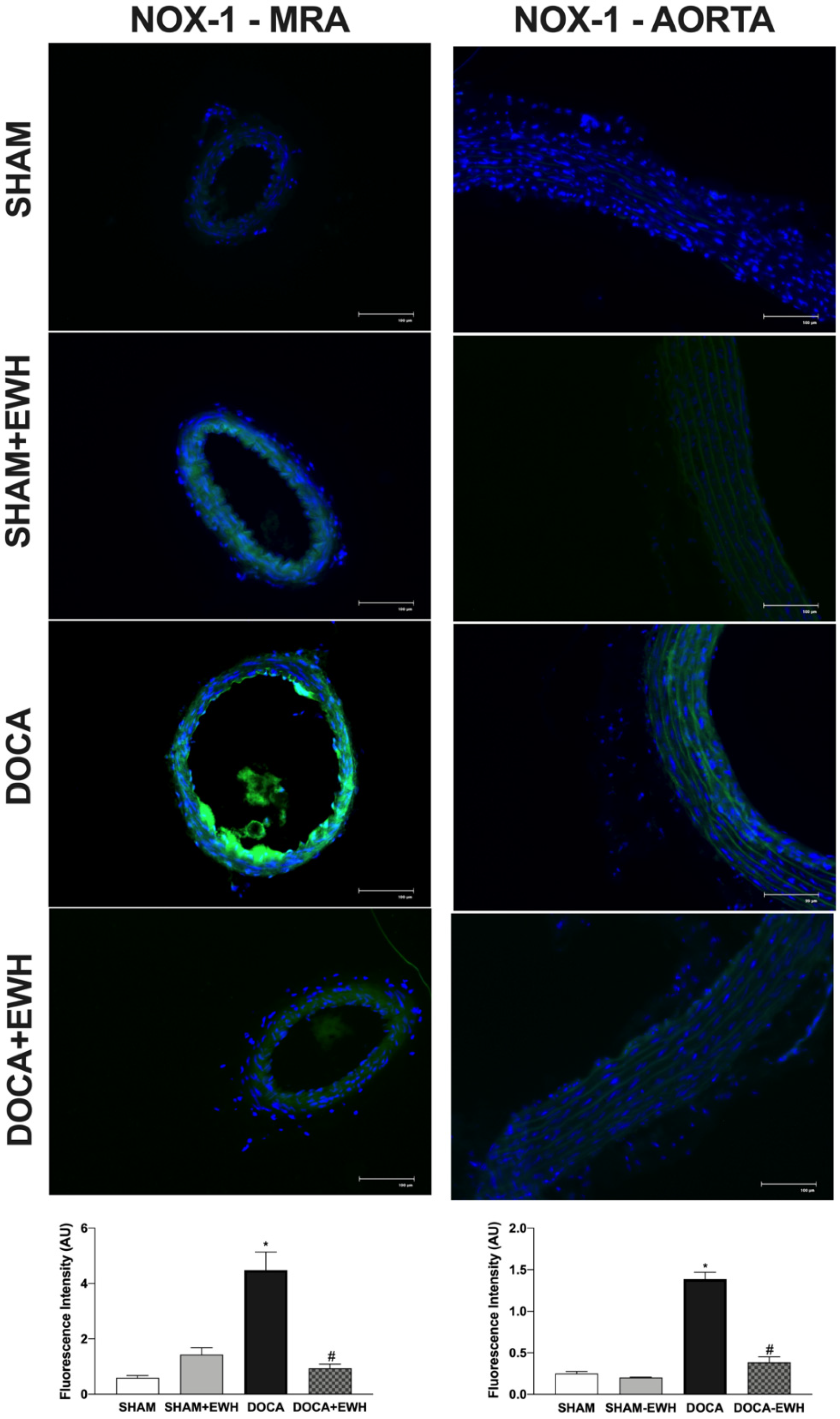 Antioxidants 11 01713 g008