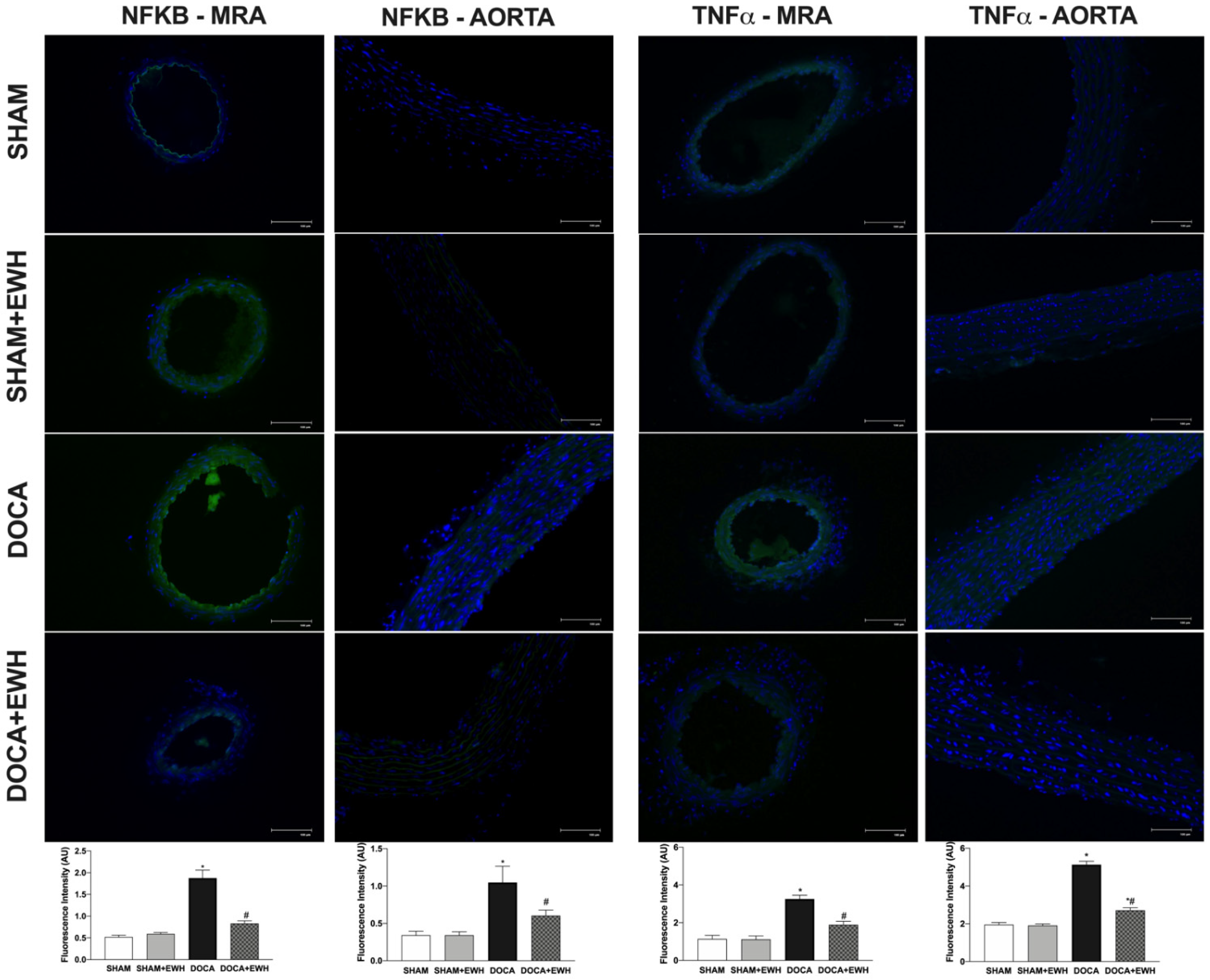 Antioxidants 11 01713 g009