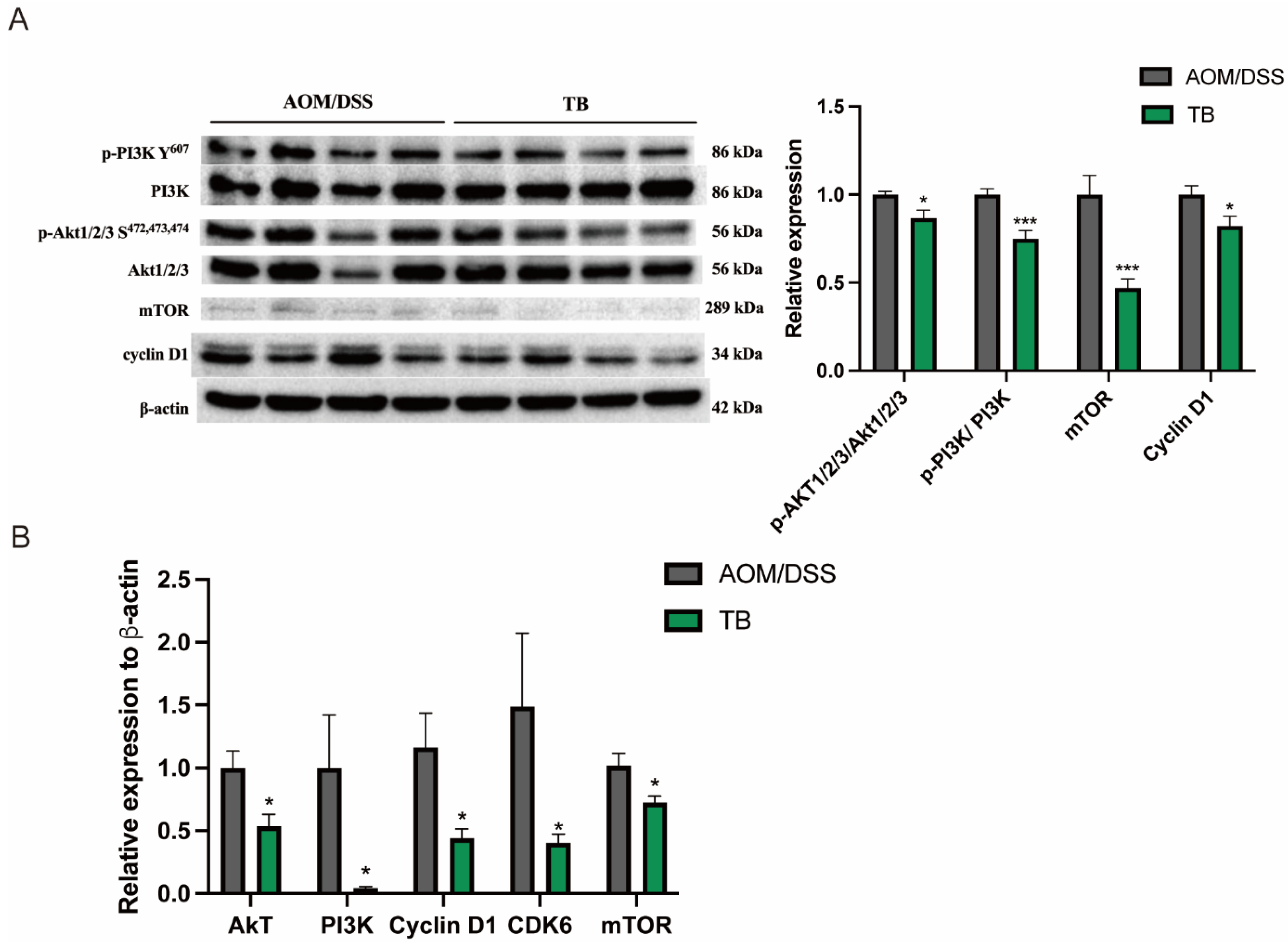 Antioxidants 11 01716 g003