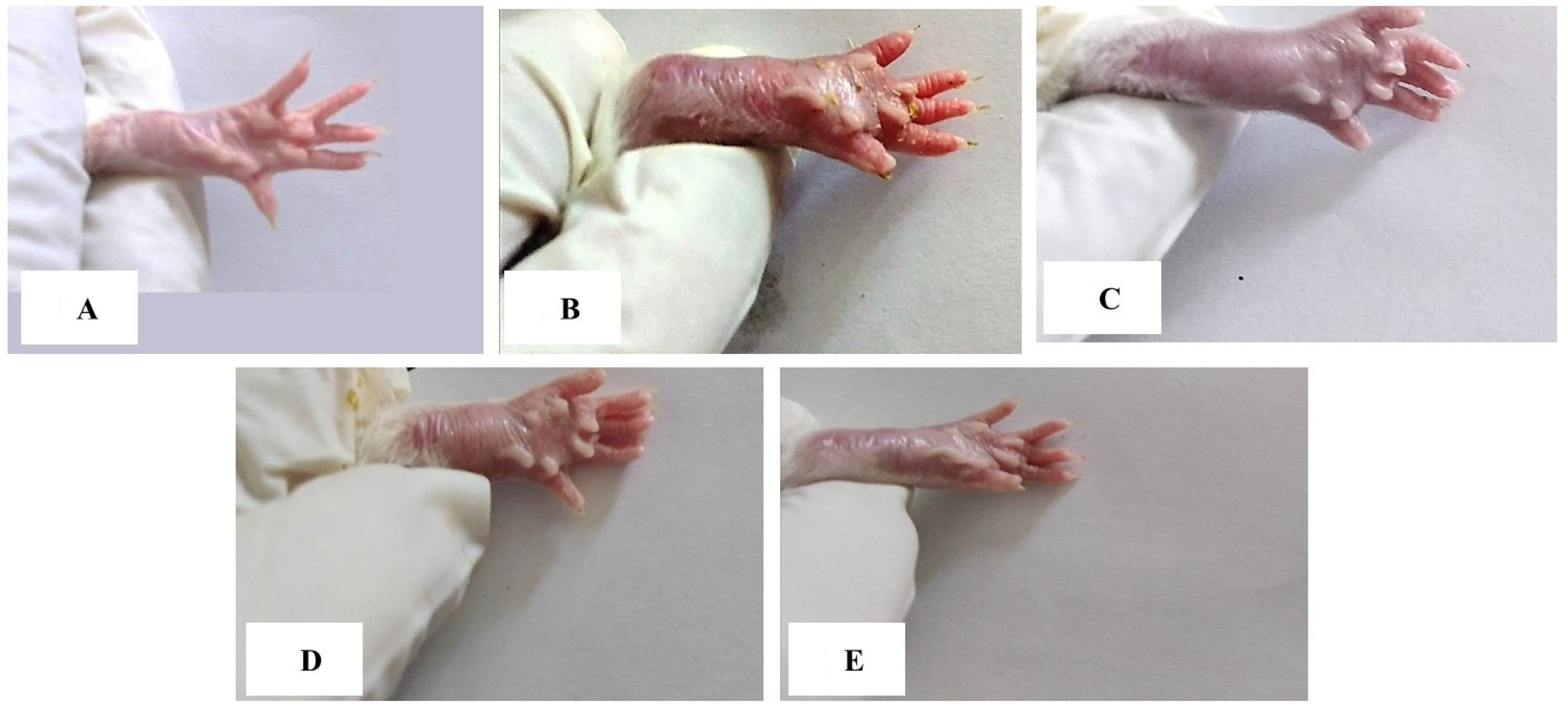 Antioxidants 11 01721 g002