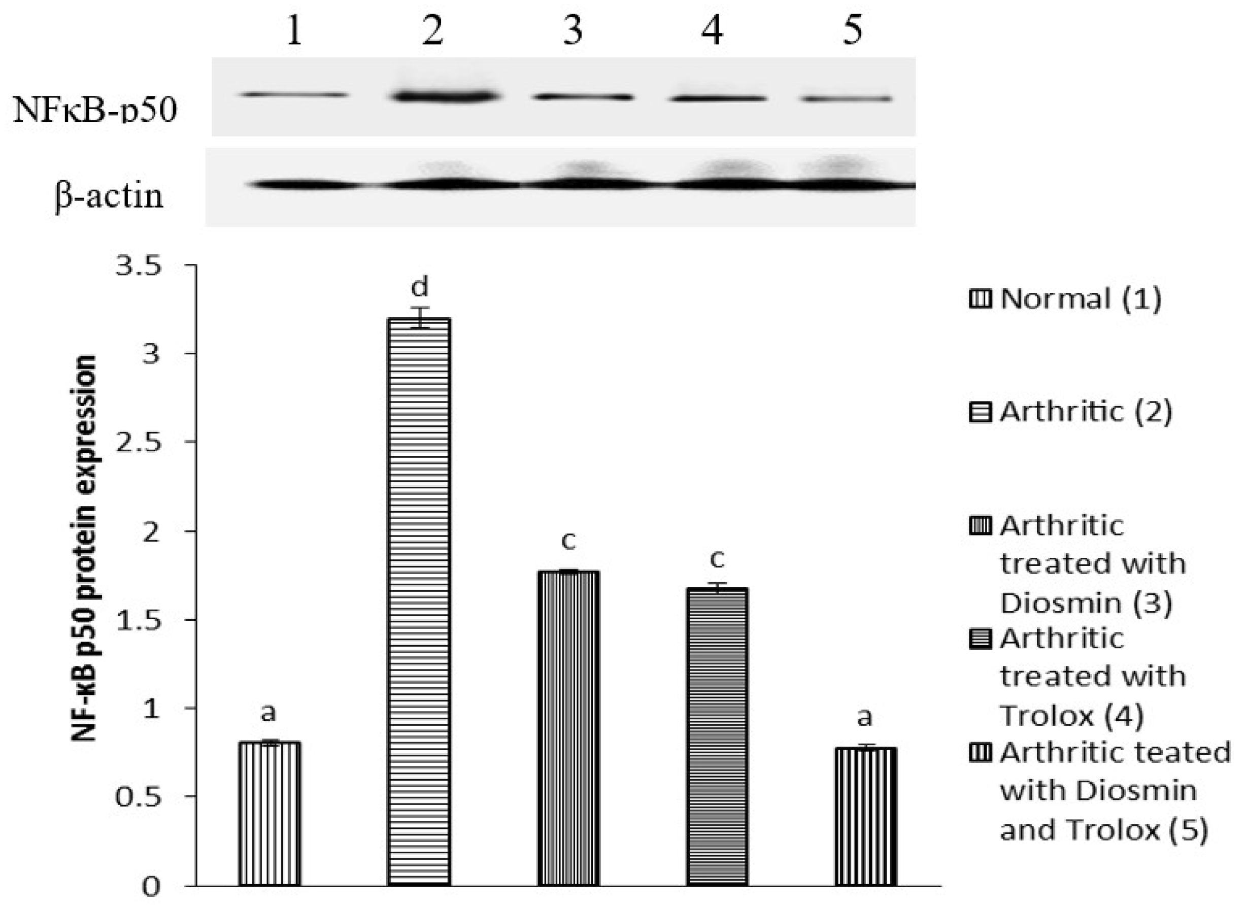 Antioxidants 11 01721 g004