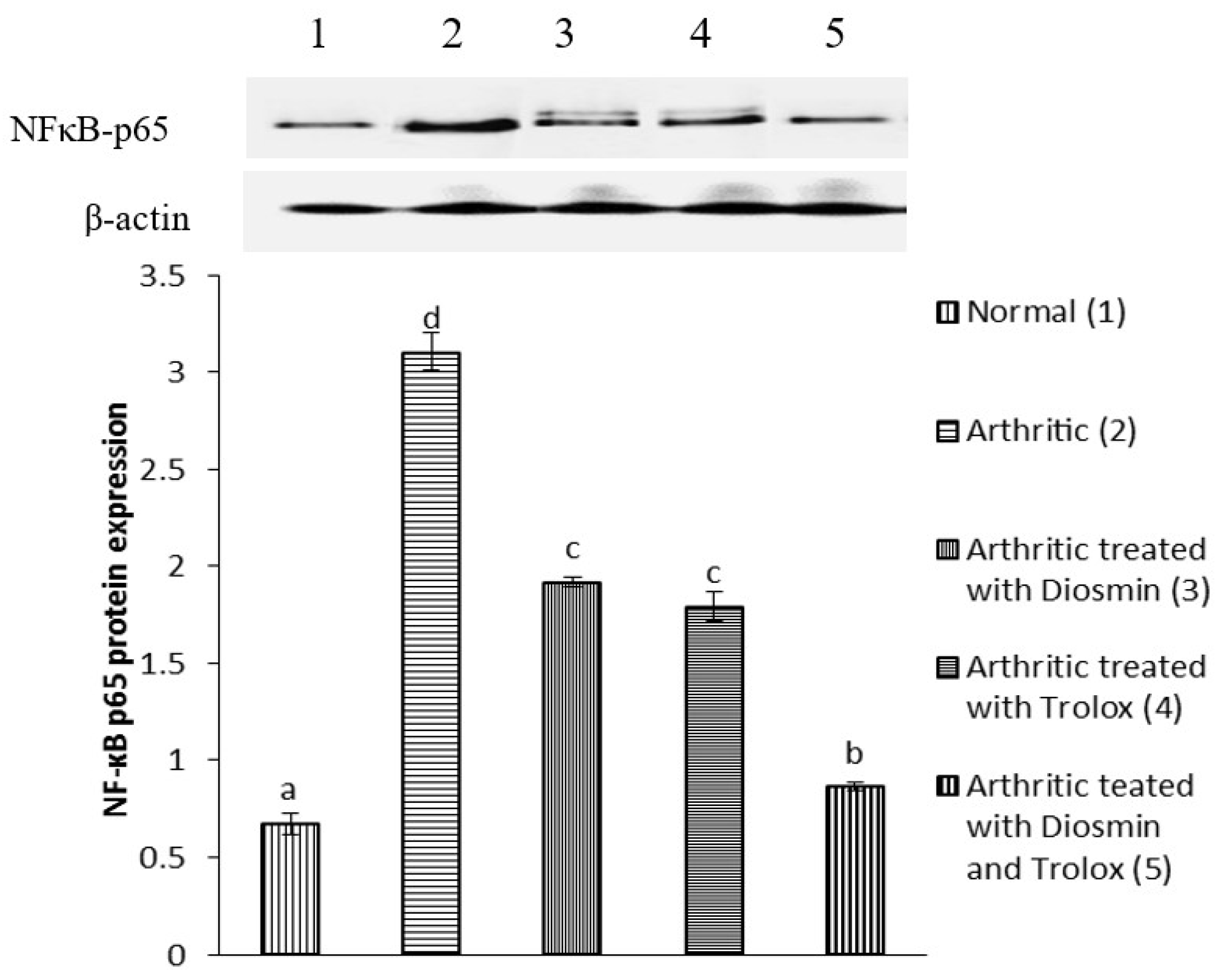 Antioxidants 11 01721 g005