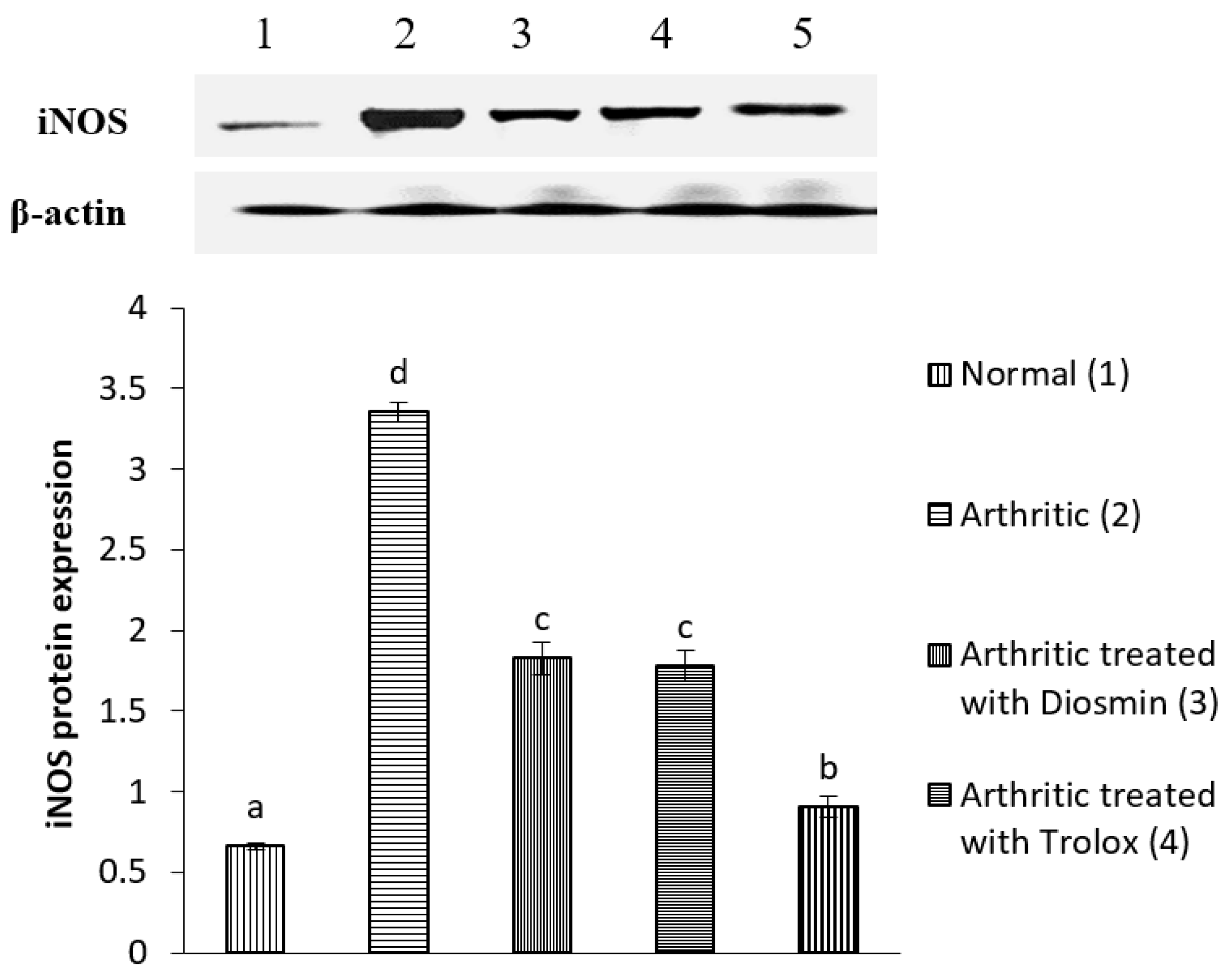 Antioxidants 11 01721 g006