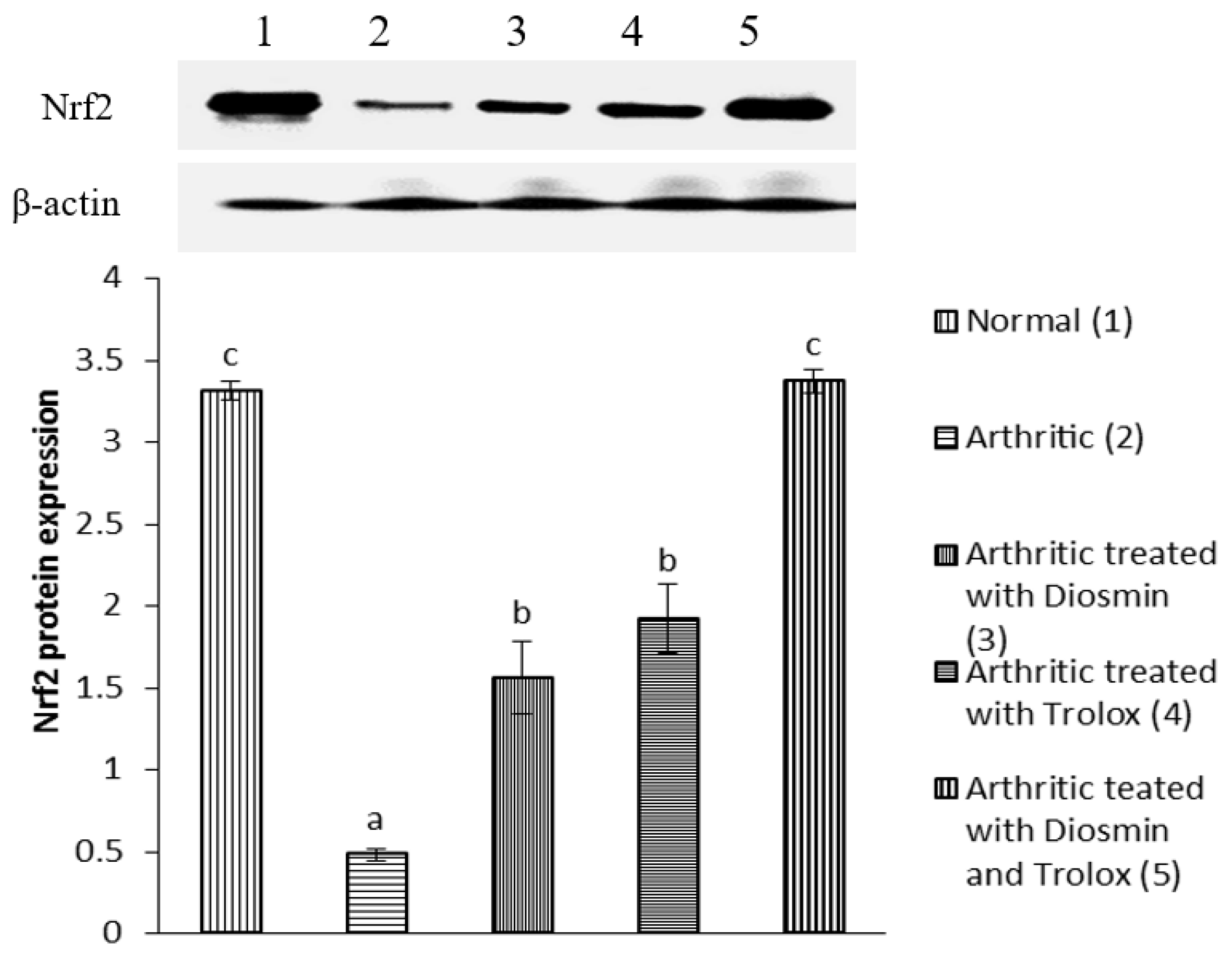 Antioxidants 11 01721 g007