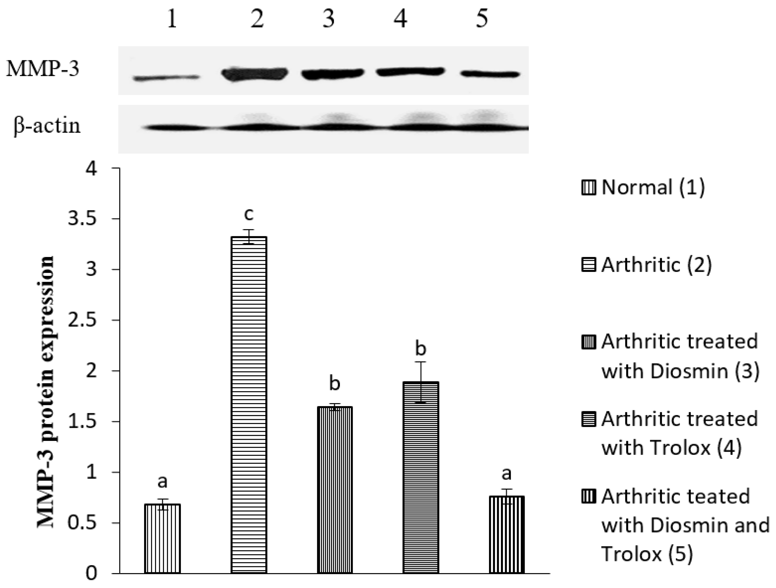 Antioxidants 11 01721 g009