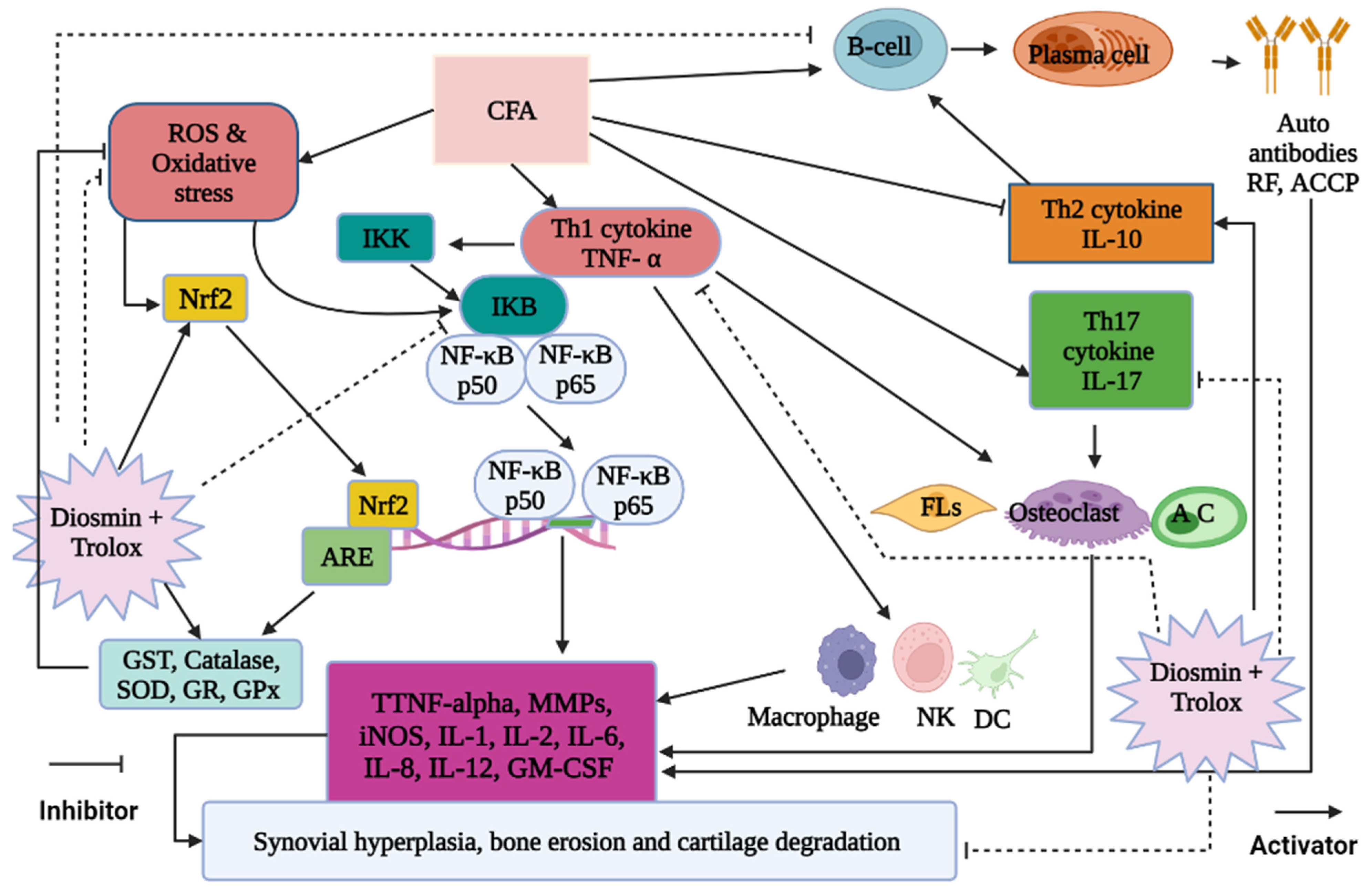 Antioxidants 11 01721 g012