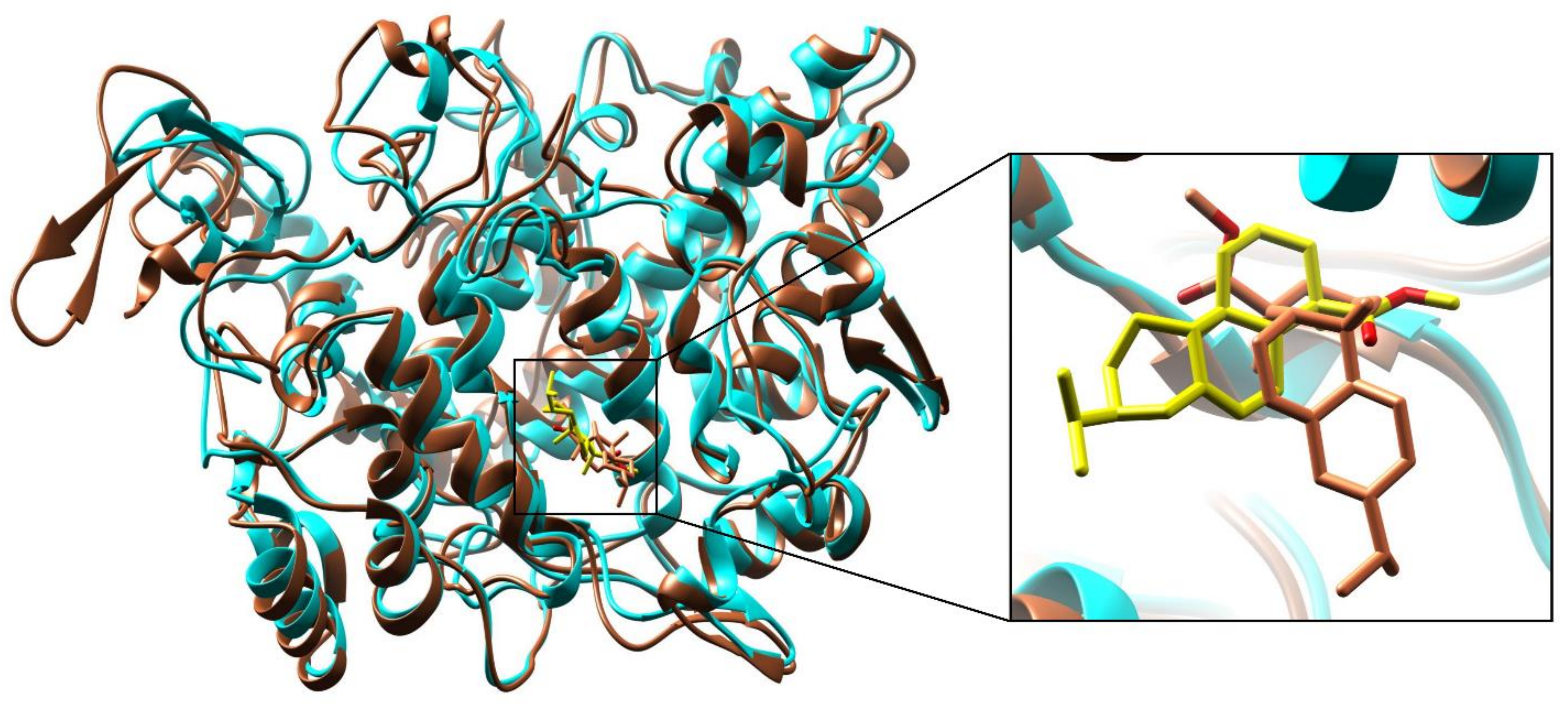 Antioxidants 11 01723 g006