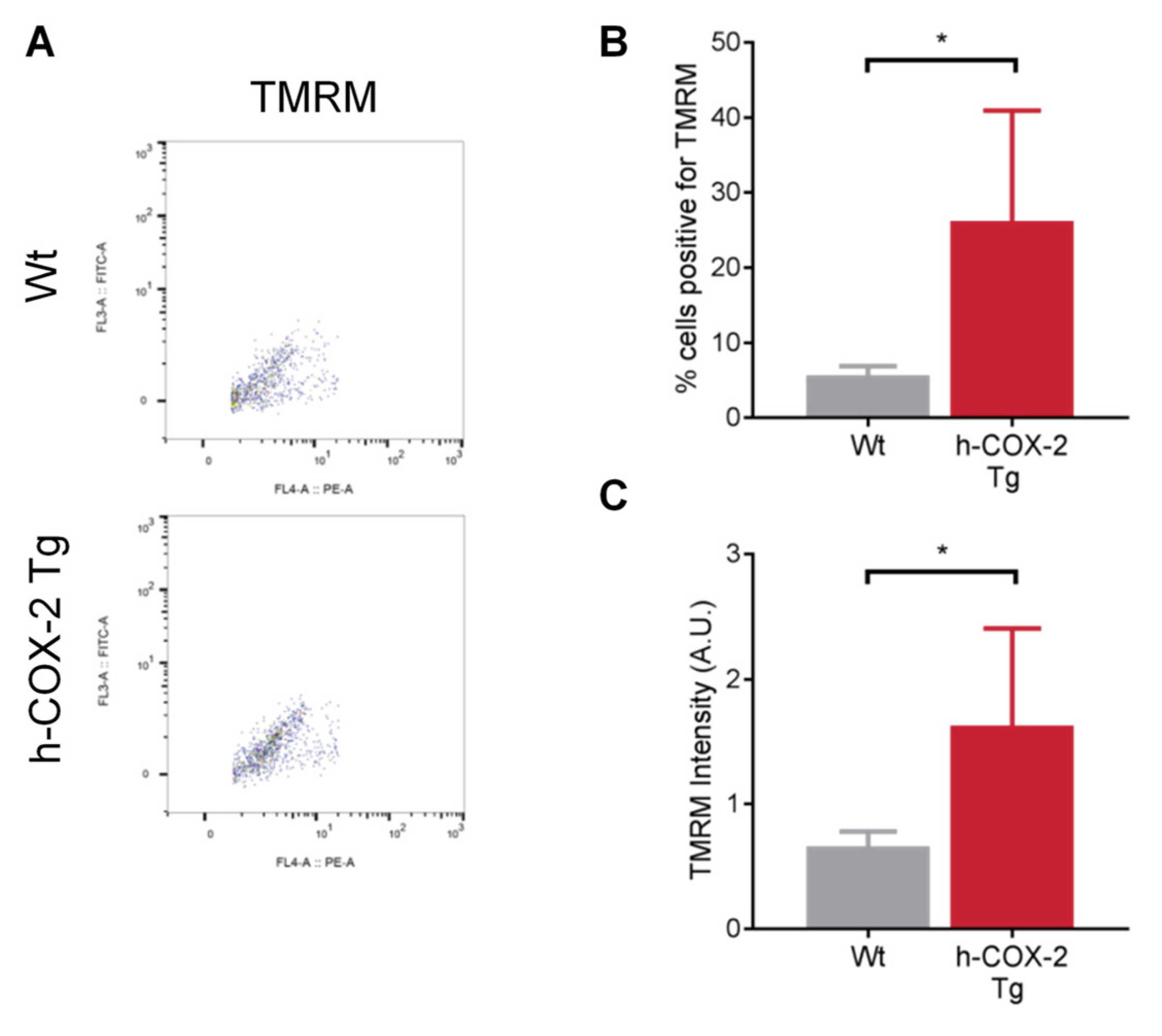 Antioxidants 11 01724 g003