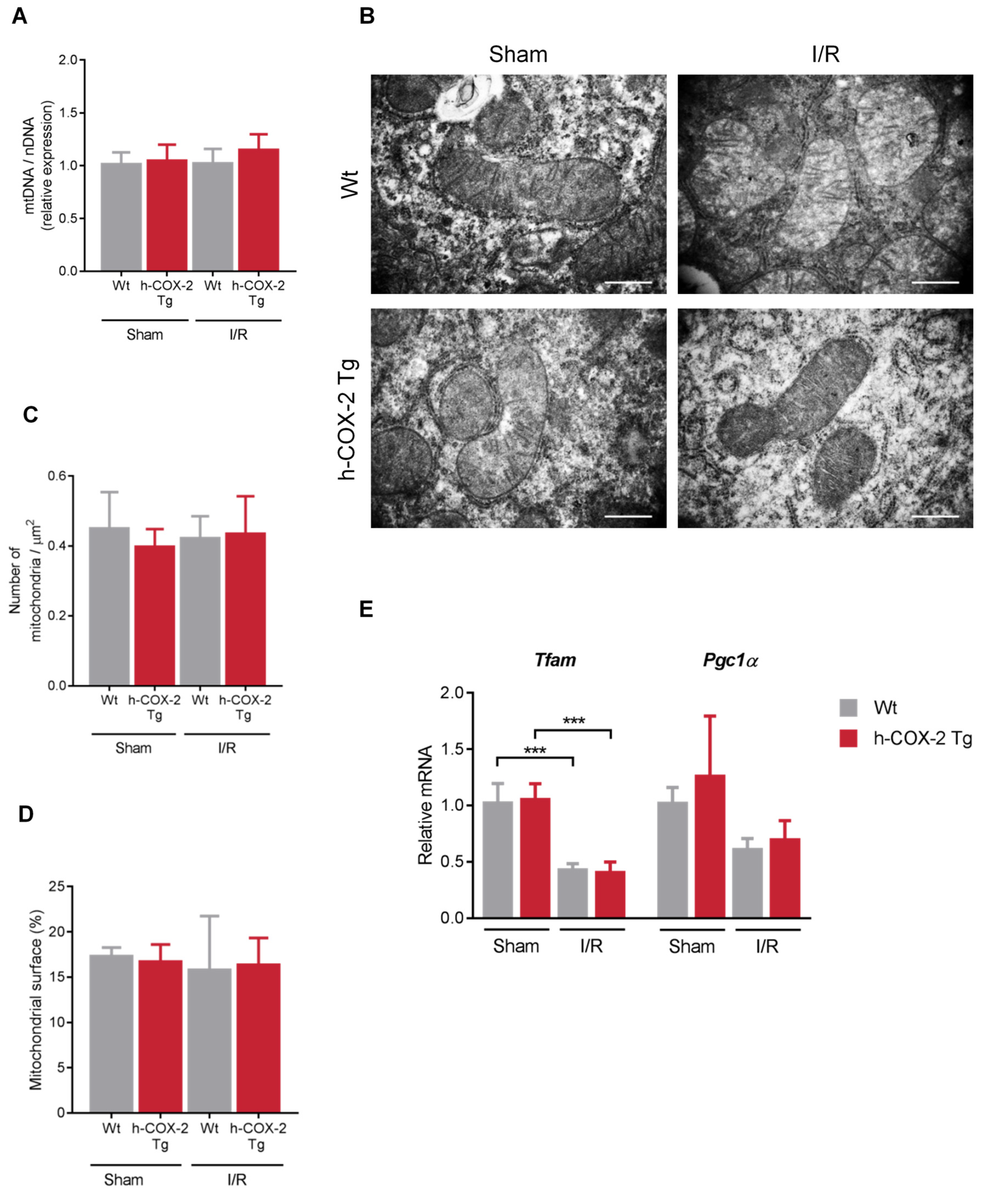 Antioxidants 11 01724 g004