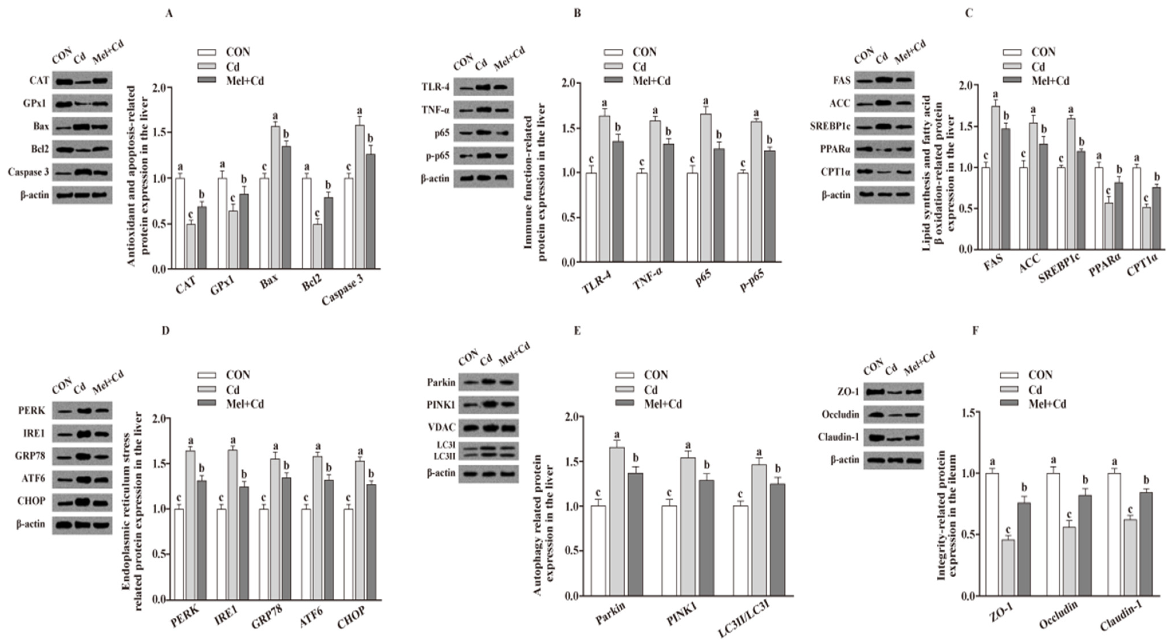 Antioxidants 11 01727 g004