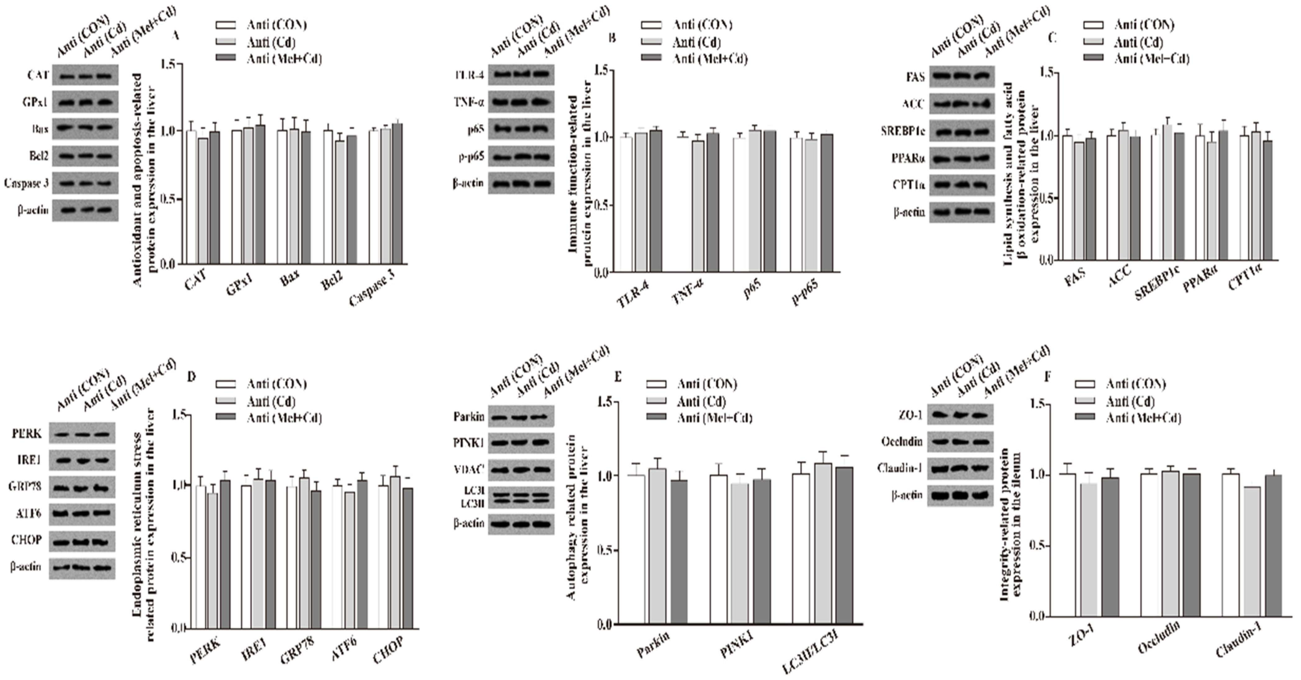 Antioxidants 11 01727 g006
